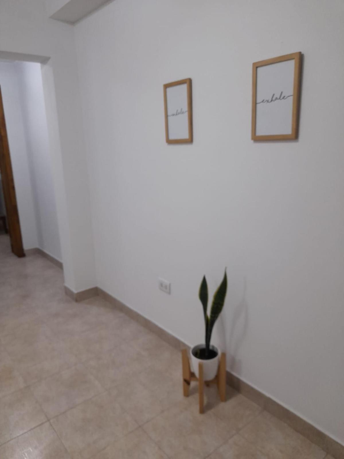 One-Bedroom Apartment photo 3