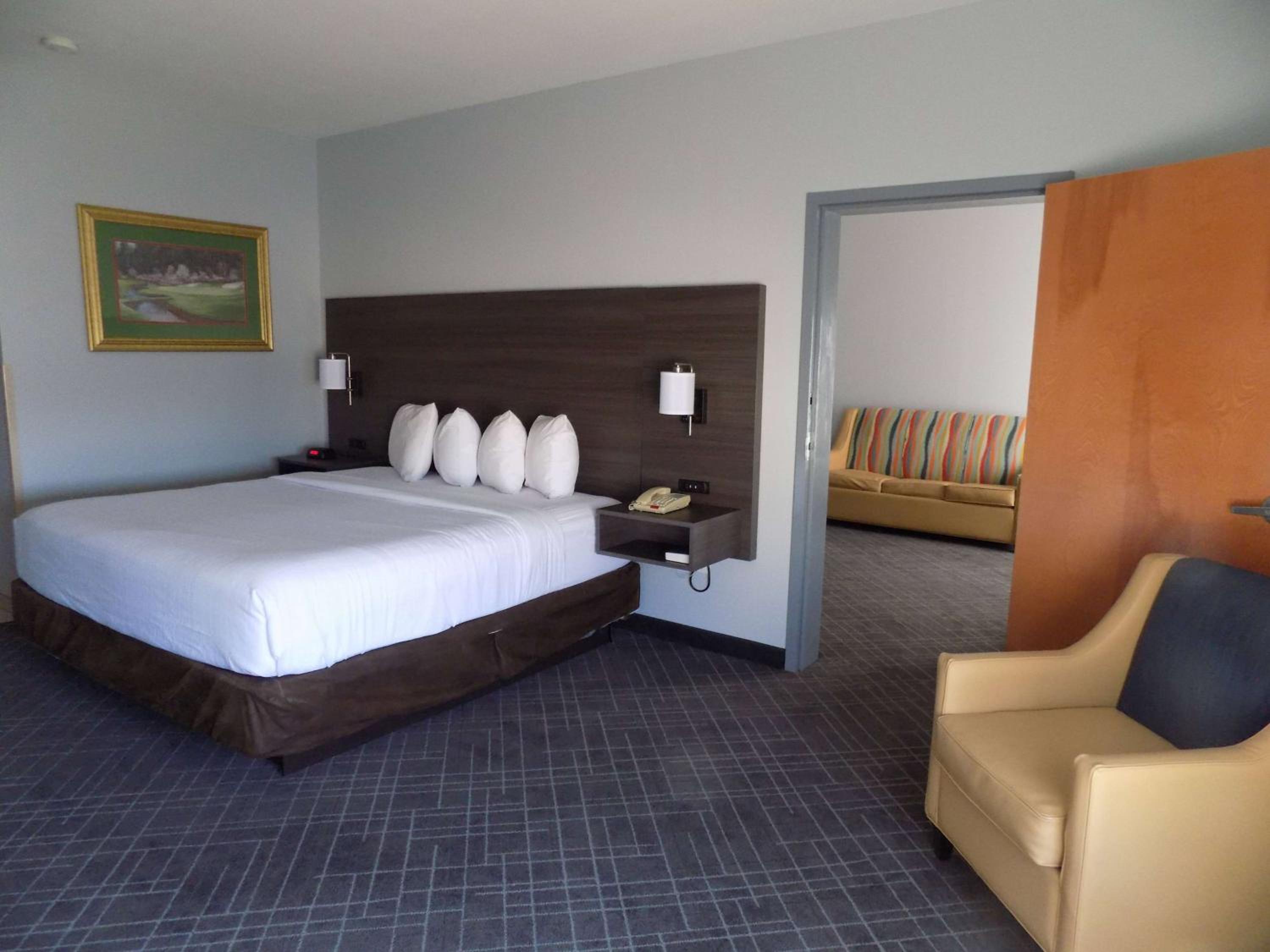 One-Bedroom King Suite - Non-Smoking photo 1
