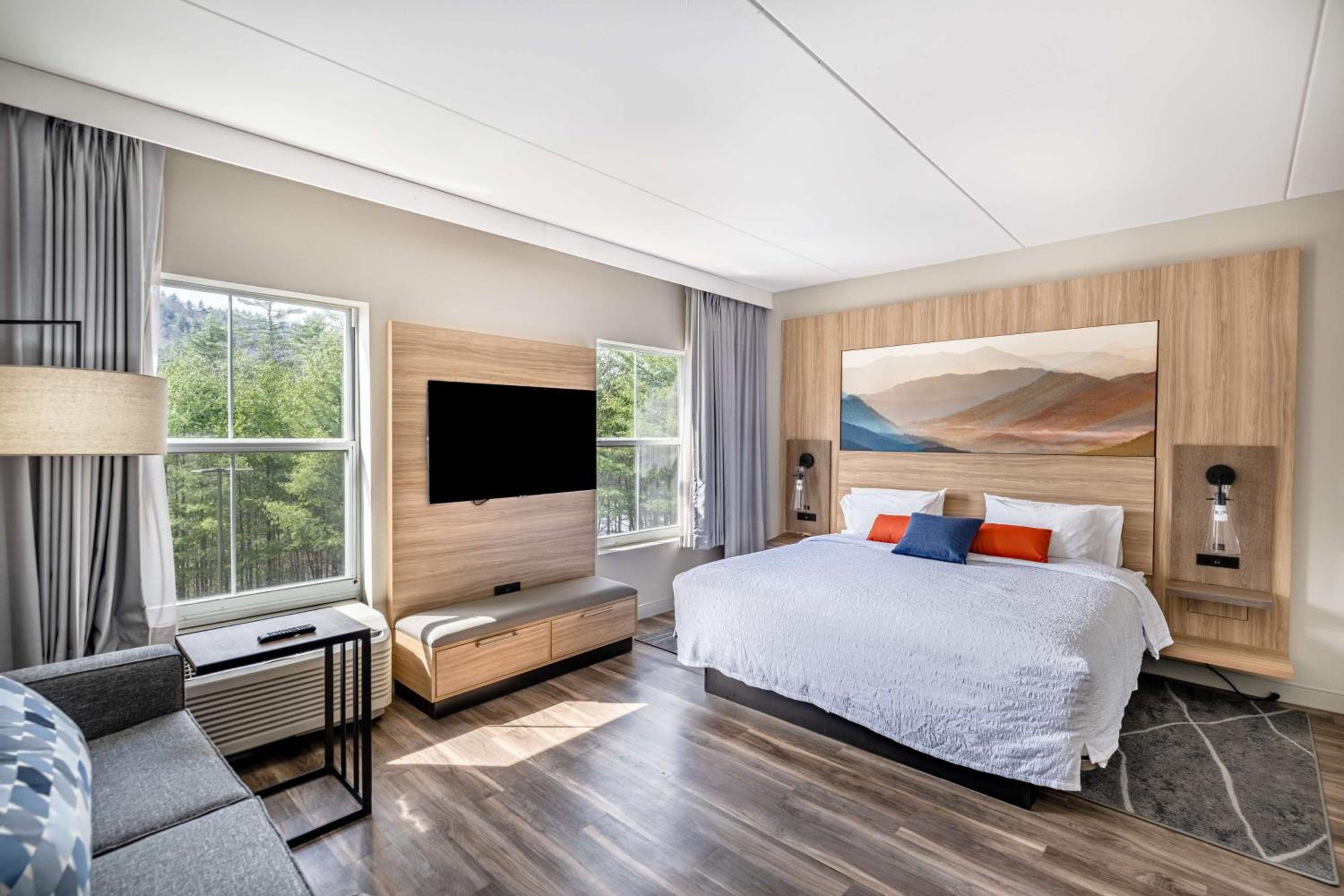 King Room with Mountain View - Hearing Accessible photo 2