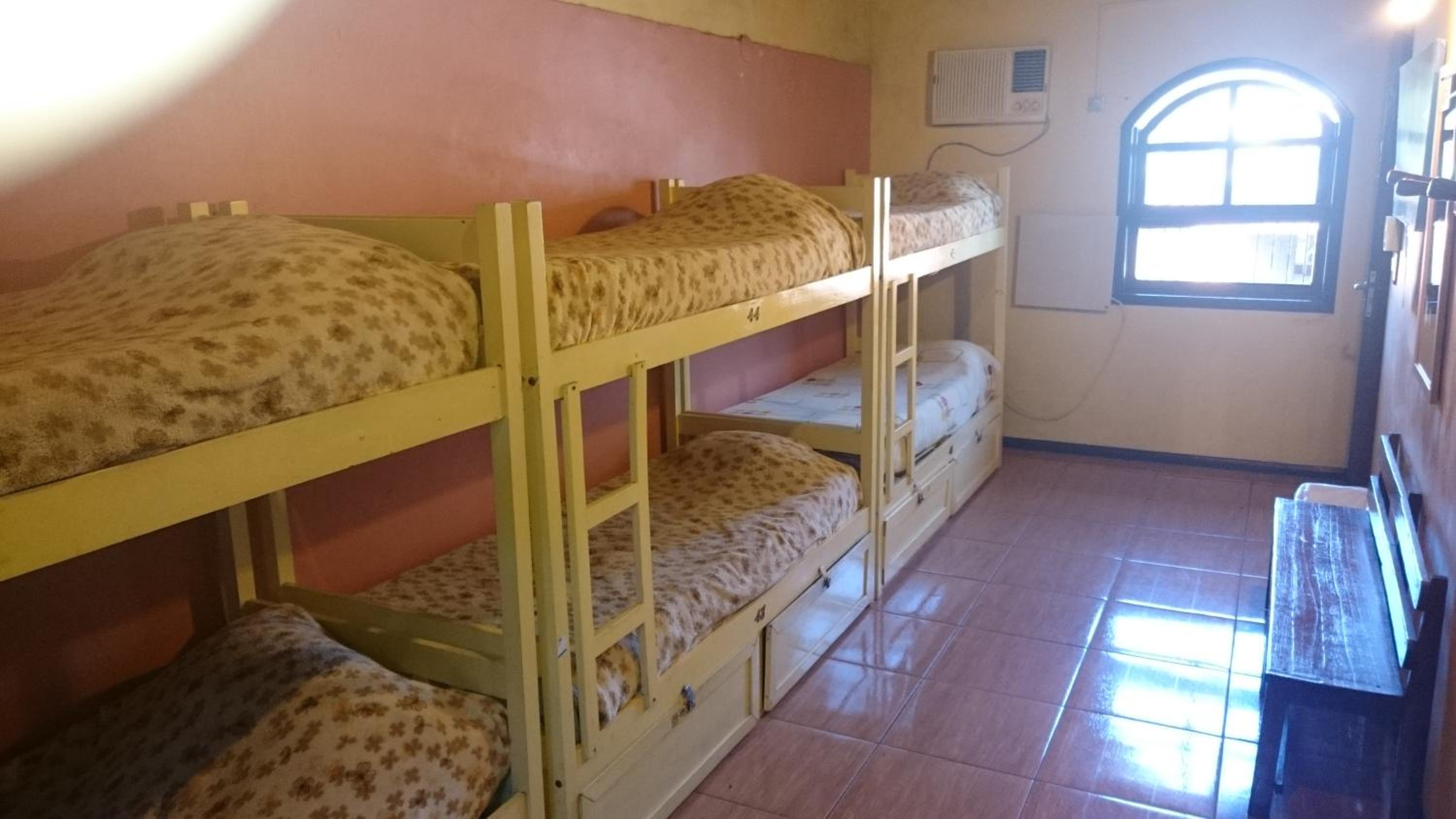 Single Bed in Mixed Dormitory Room photo 1