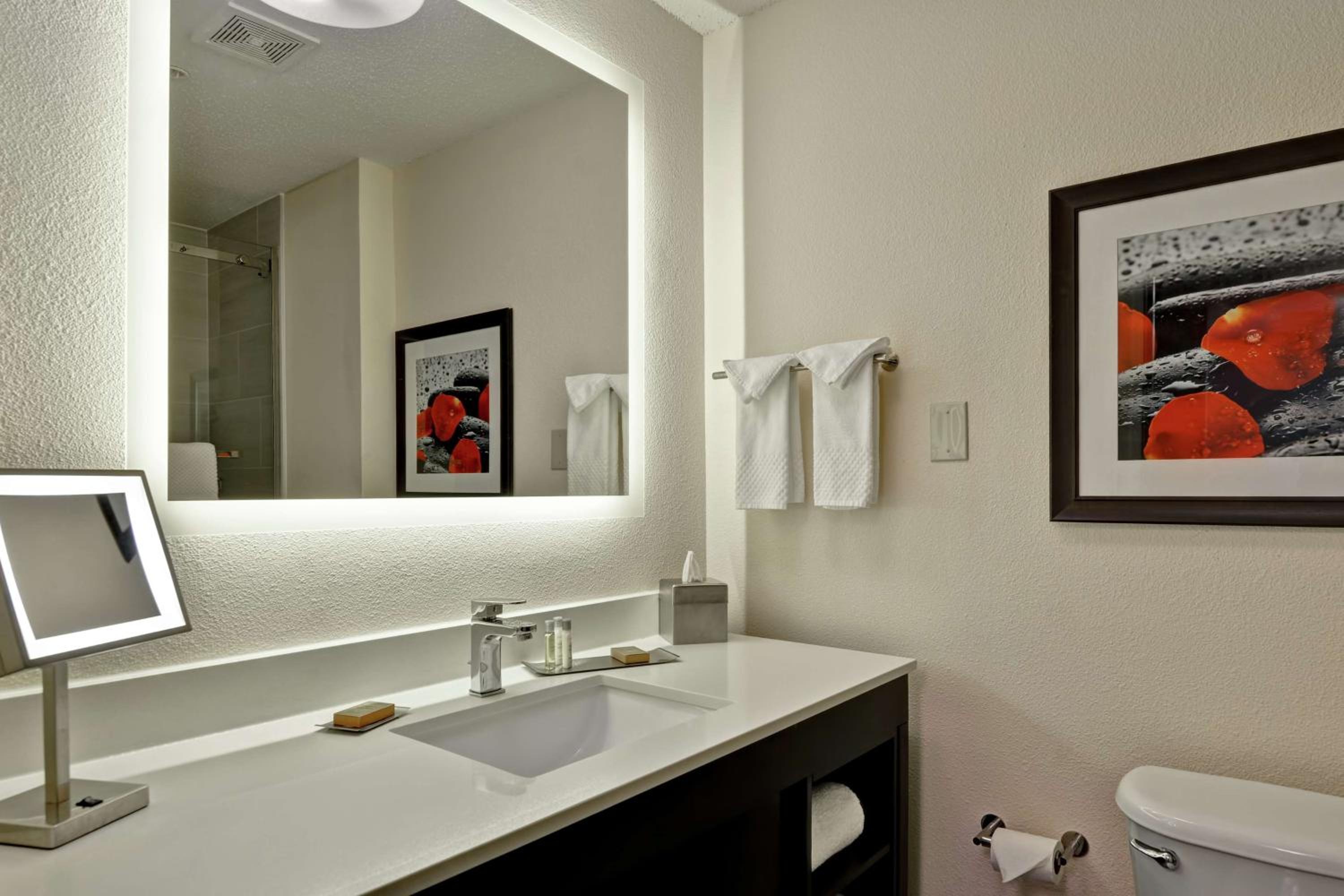 King Studio Suite photo 3