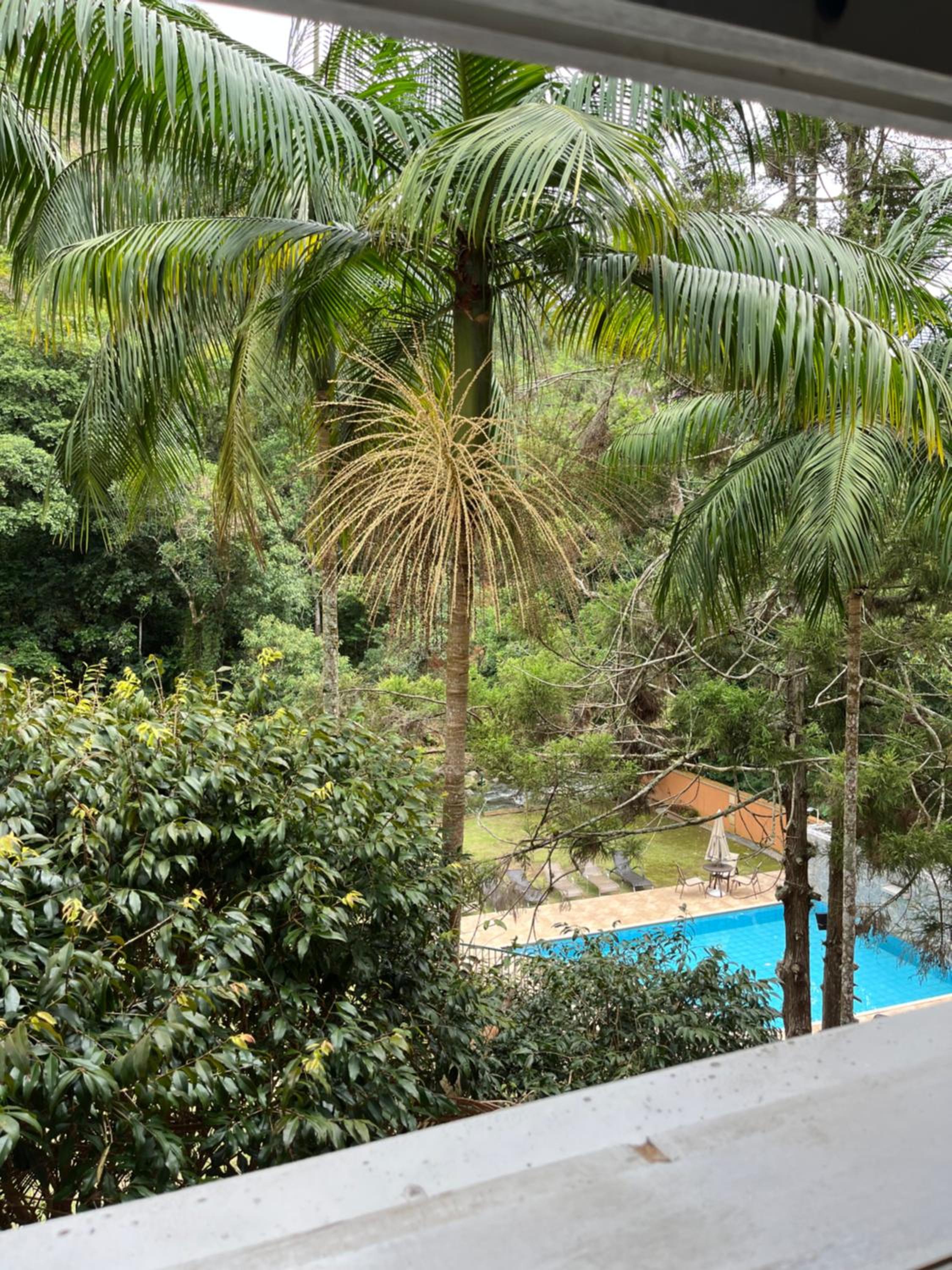 Apartment with Pool View  photo 3