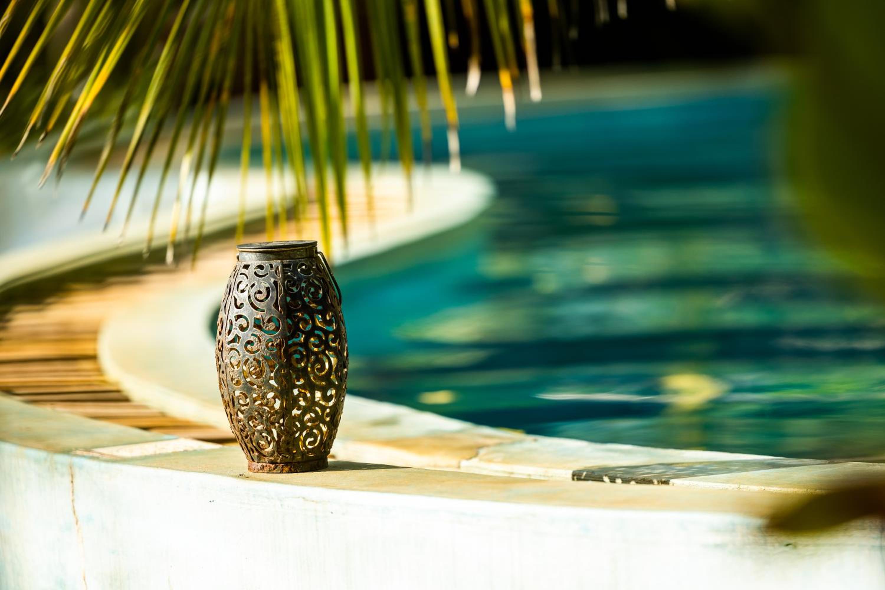Ocean Front Bungalow - Photo 24