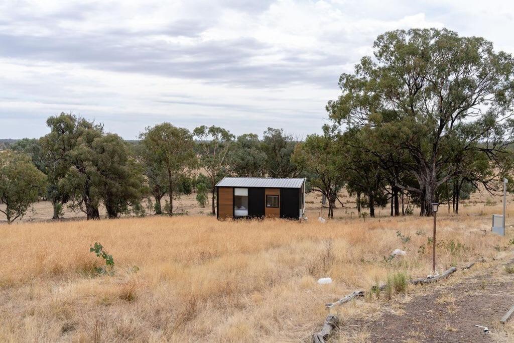 Mobile Home photo 2