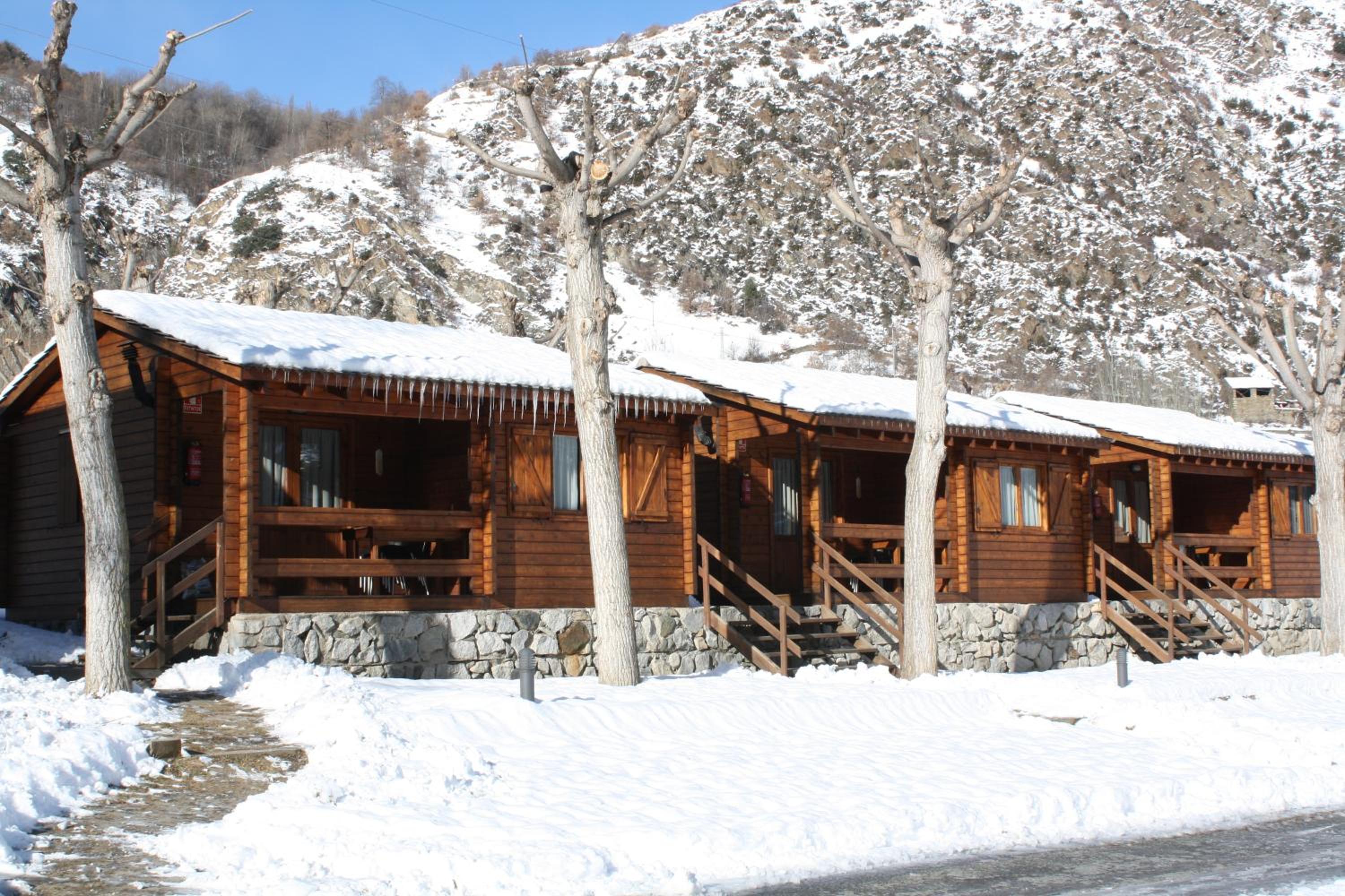 Bungalow (4 Adults) photo 2