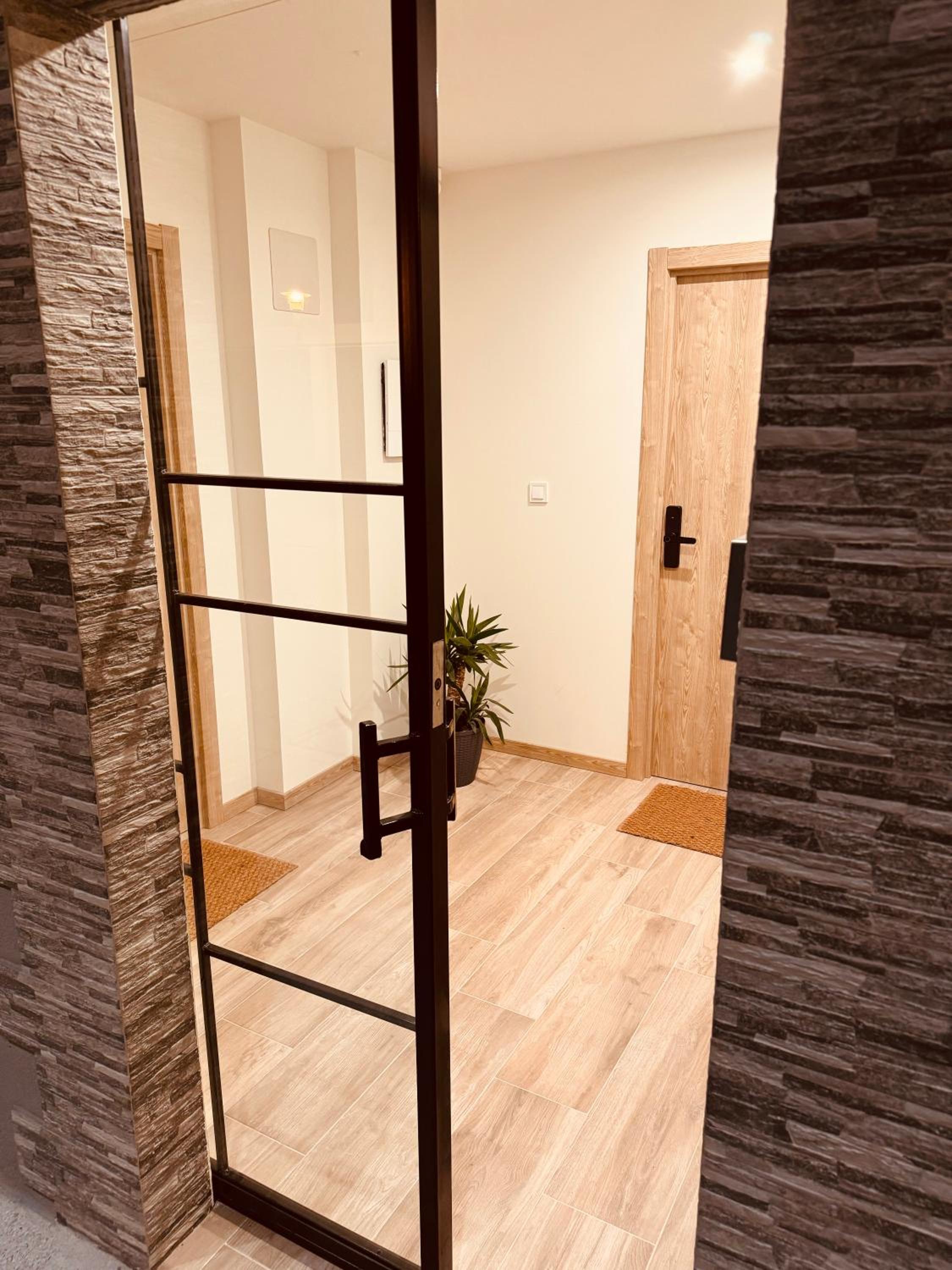 Deluxe Apartment photo 2