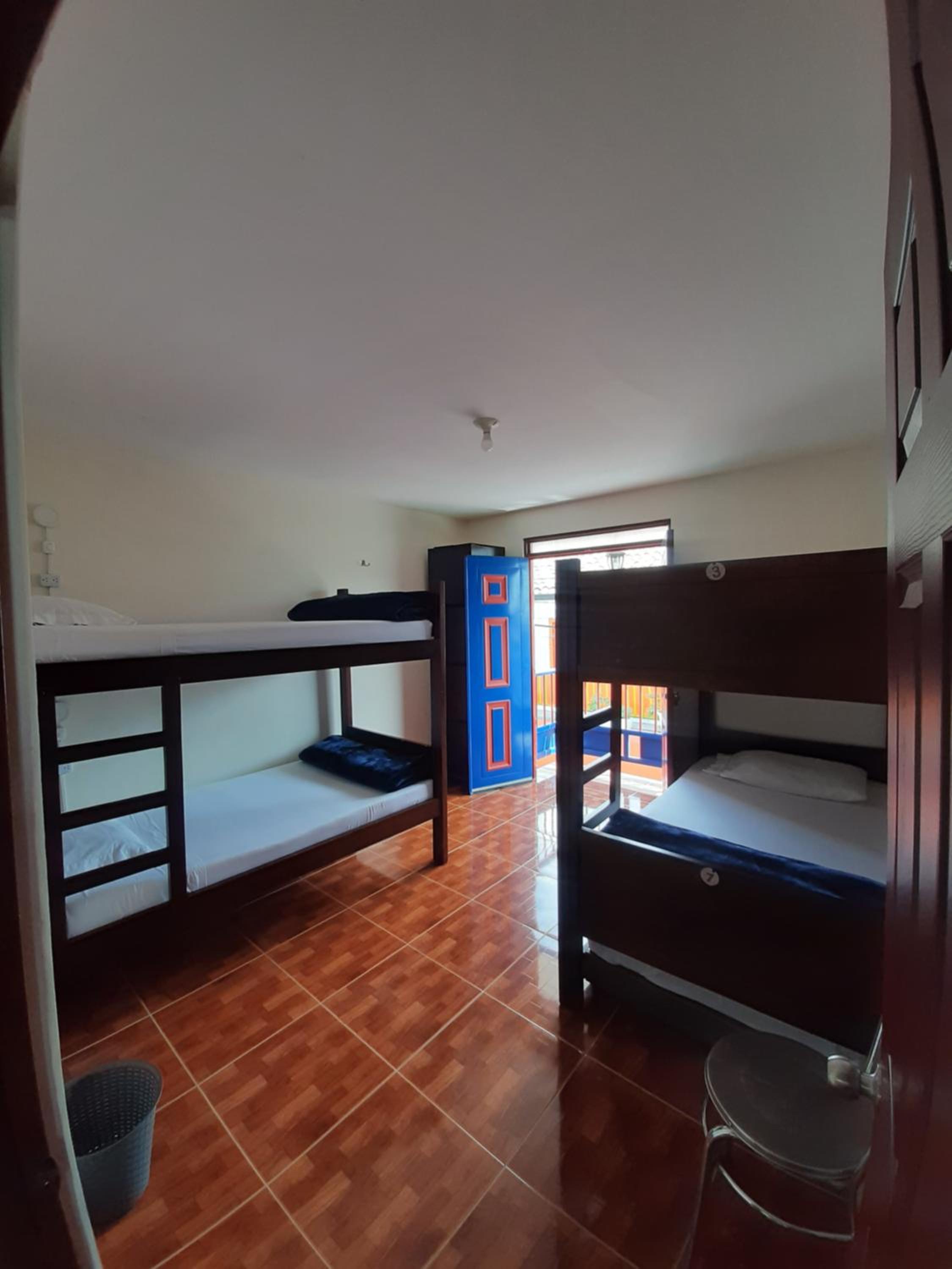 Bunk Bed in Mixed Dormitory Room