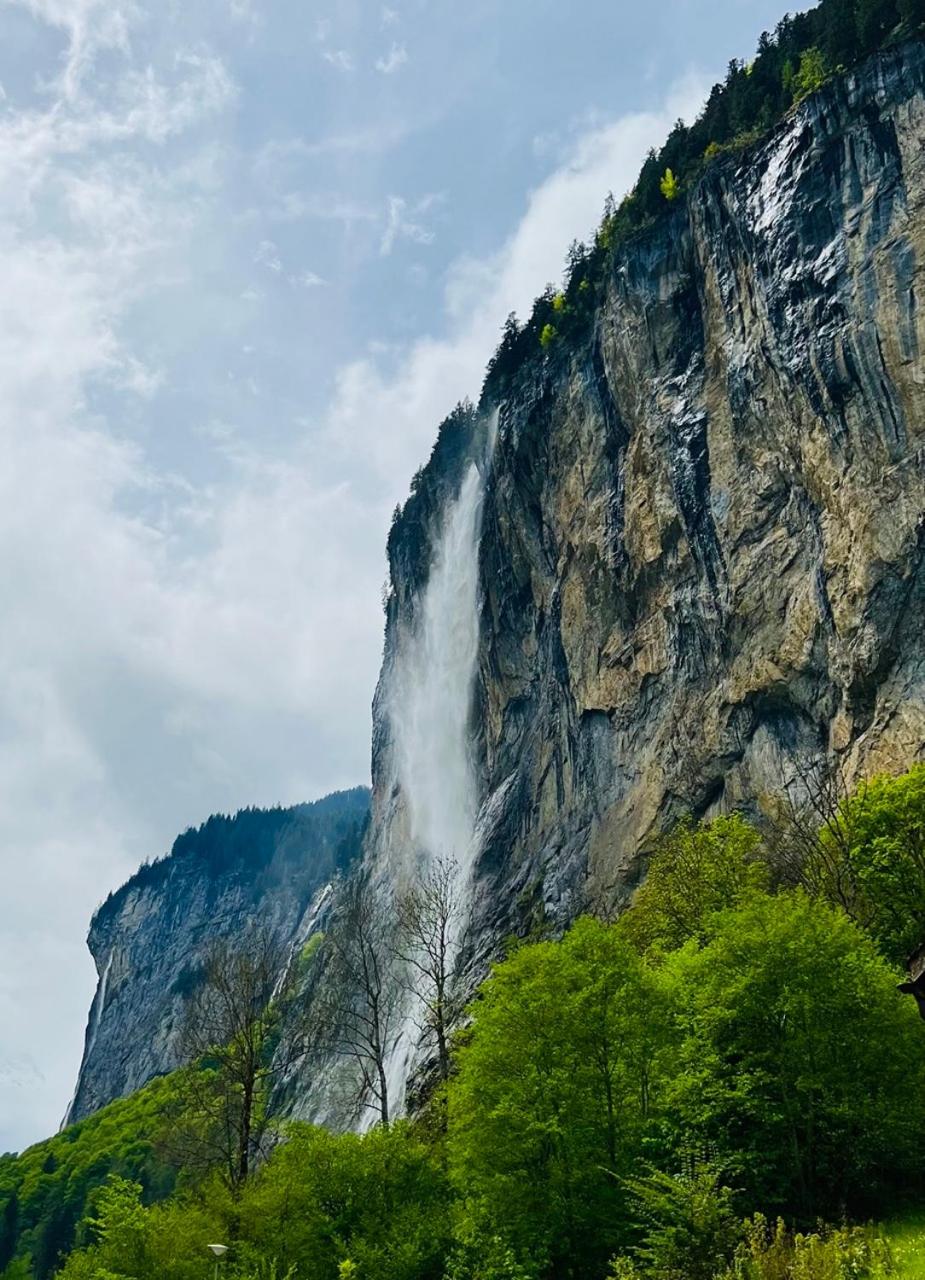 Double Room with Waterfall View photo 1