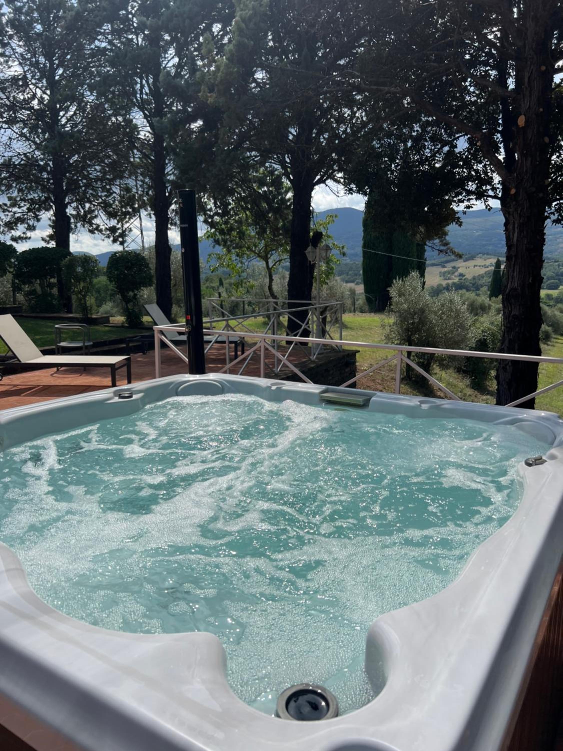 Deluxe Villa photo 2