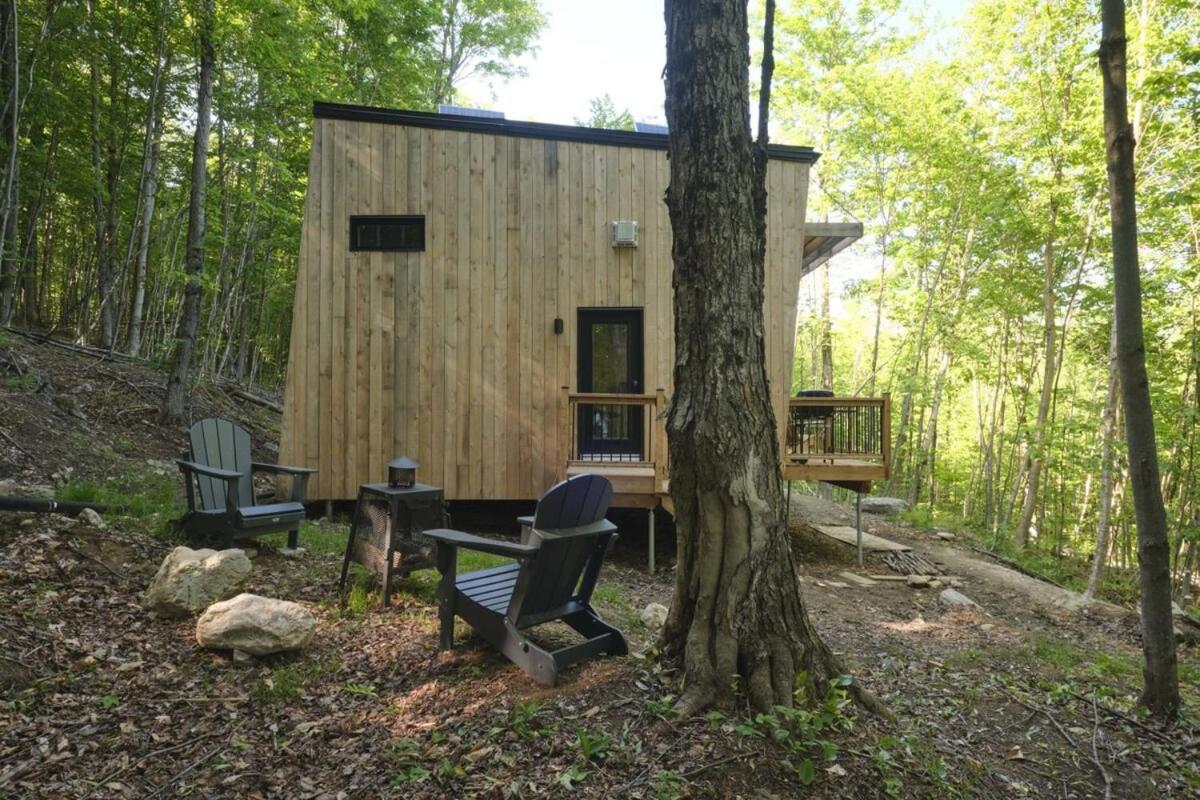 Chalet photo 3