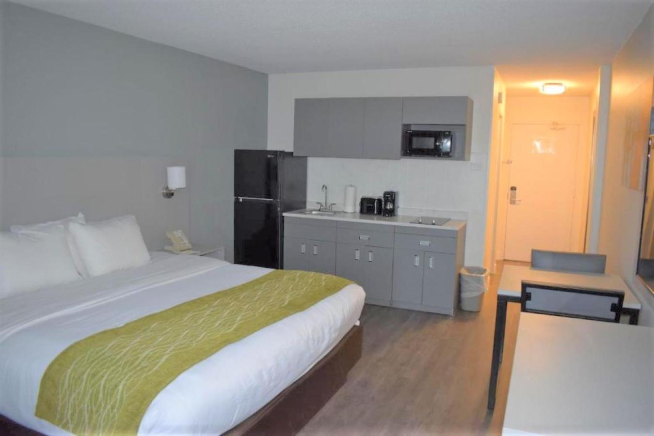 King Room photo 3