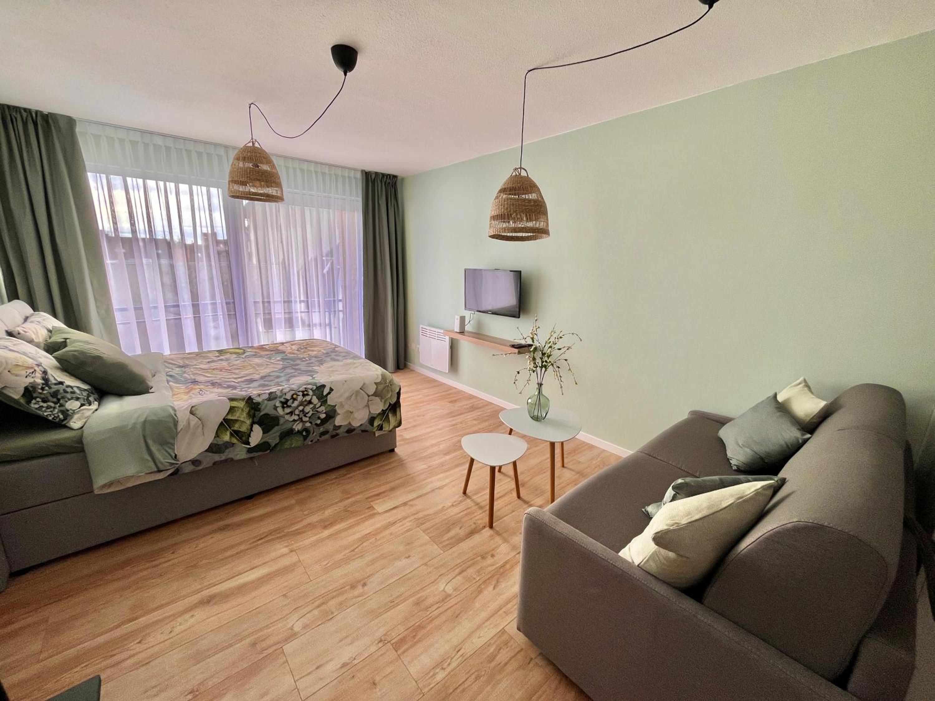 King Studio with Sofa Bed photo 1