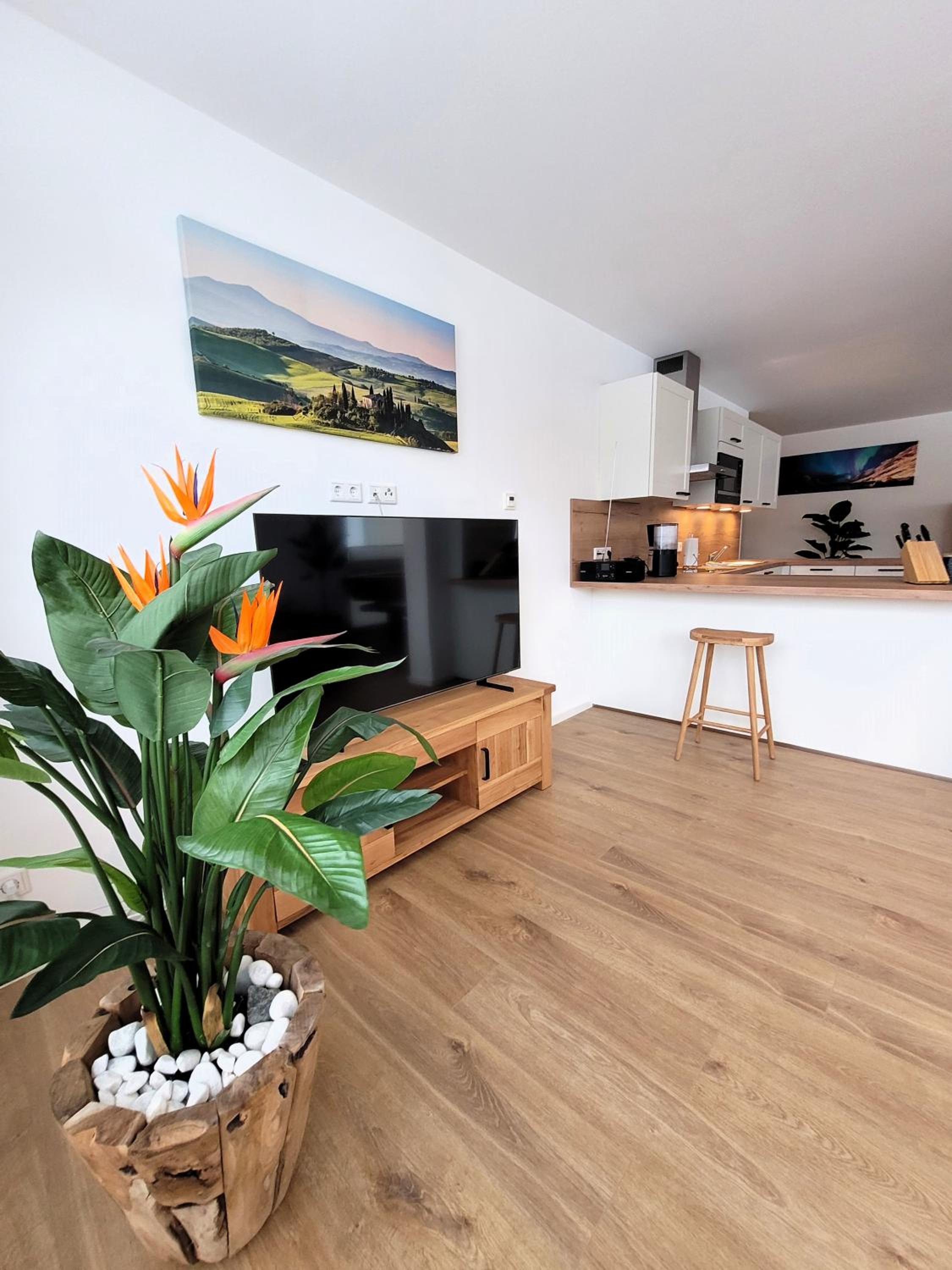 Apartment with Terrace photo 1