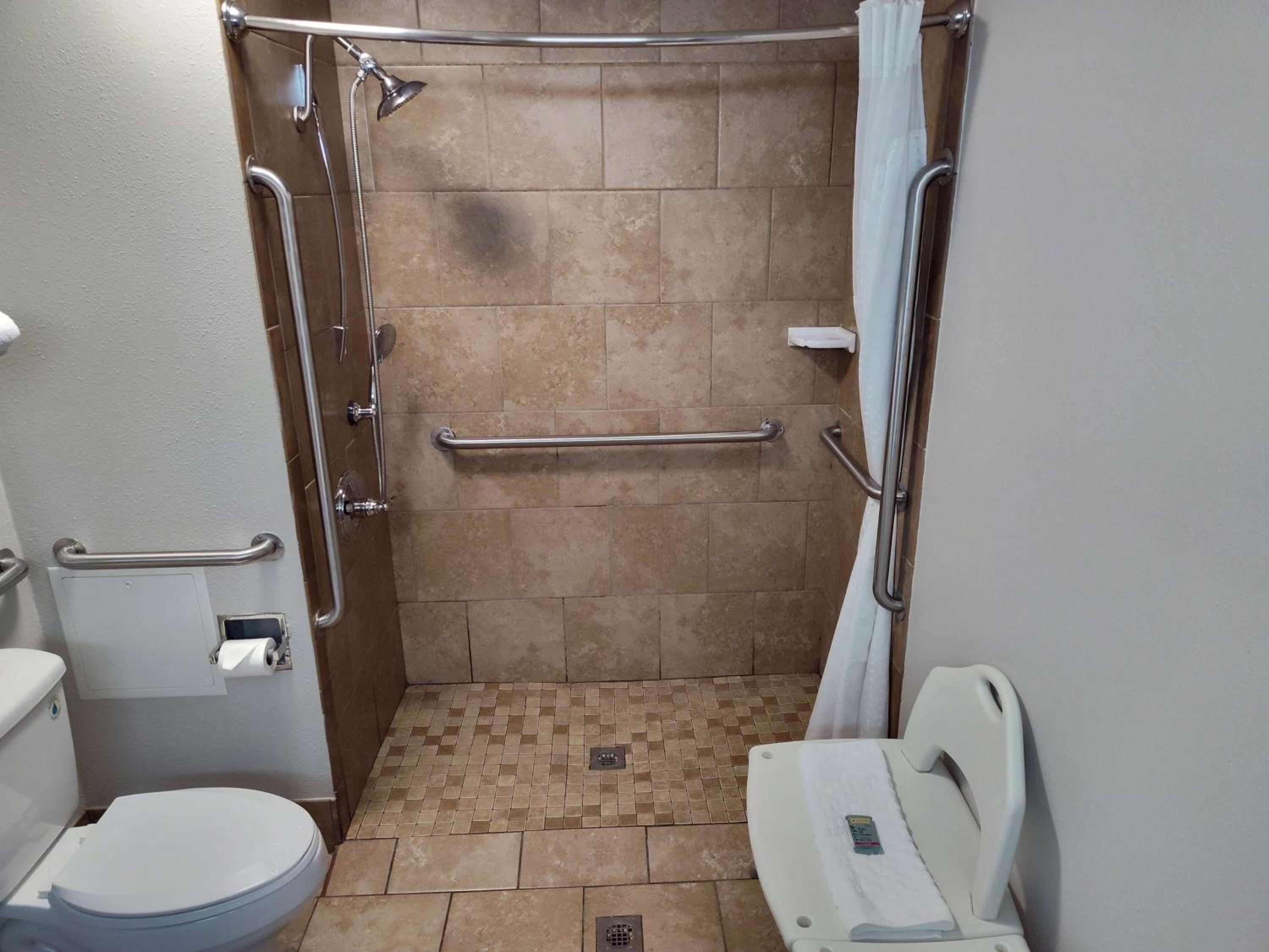 King Room with Roll-In Shower - Disability Access/Pet-Friendly - Photo 4