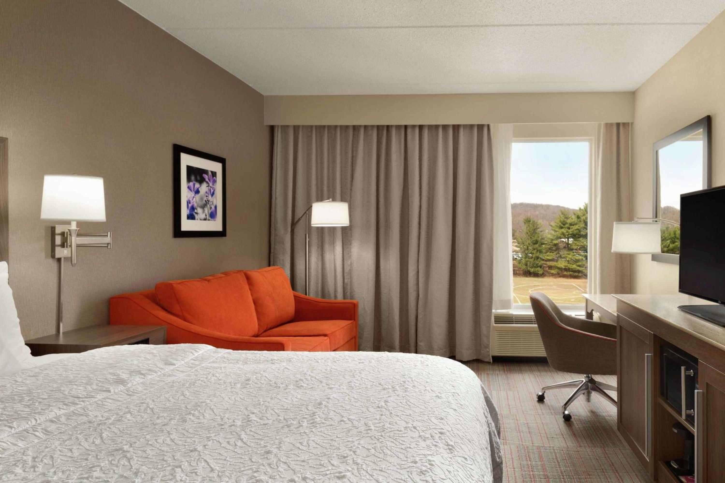 Deluxe King Room with Sofa Bed - Non-Smoking - Photo 7