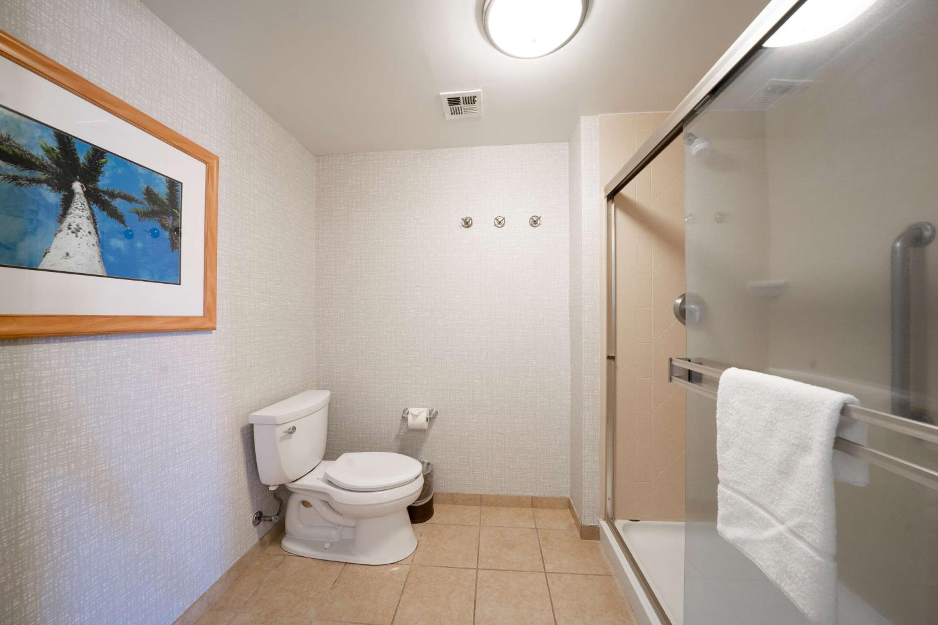 King Studio Suite with Whirlpool - Non-Smoking - Photo 5