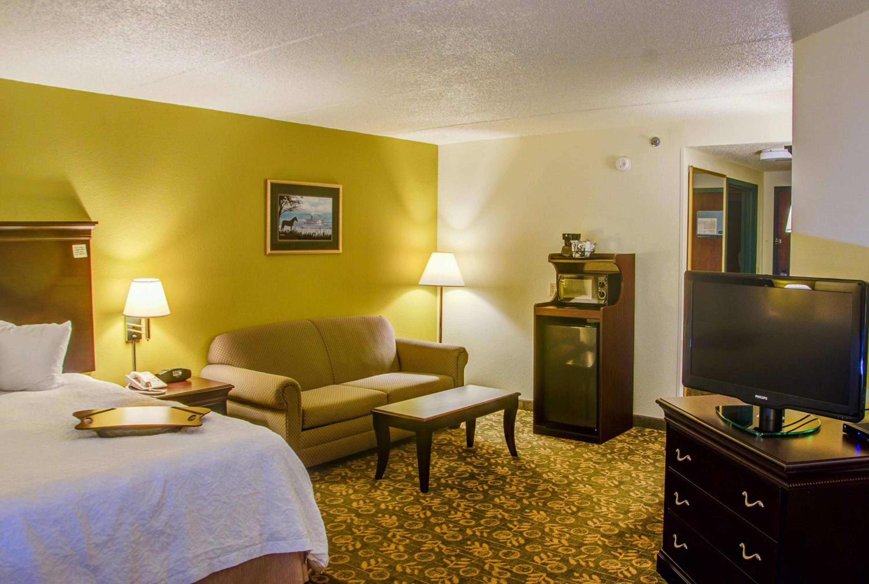 King Suite With Sofa Bed - Non-Smoking