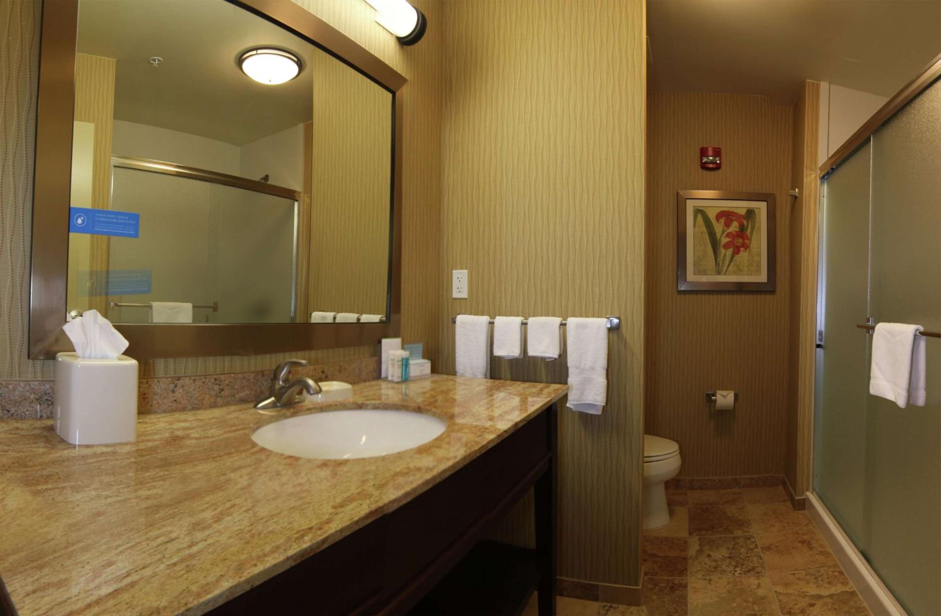 King Room with Accessible Tub - Mobility and Hearing Access/Non-Smoking photo 3