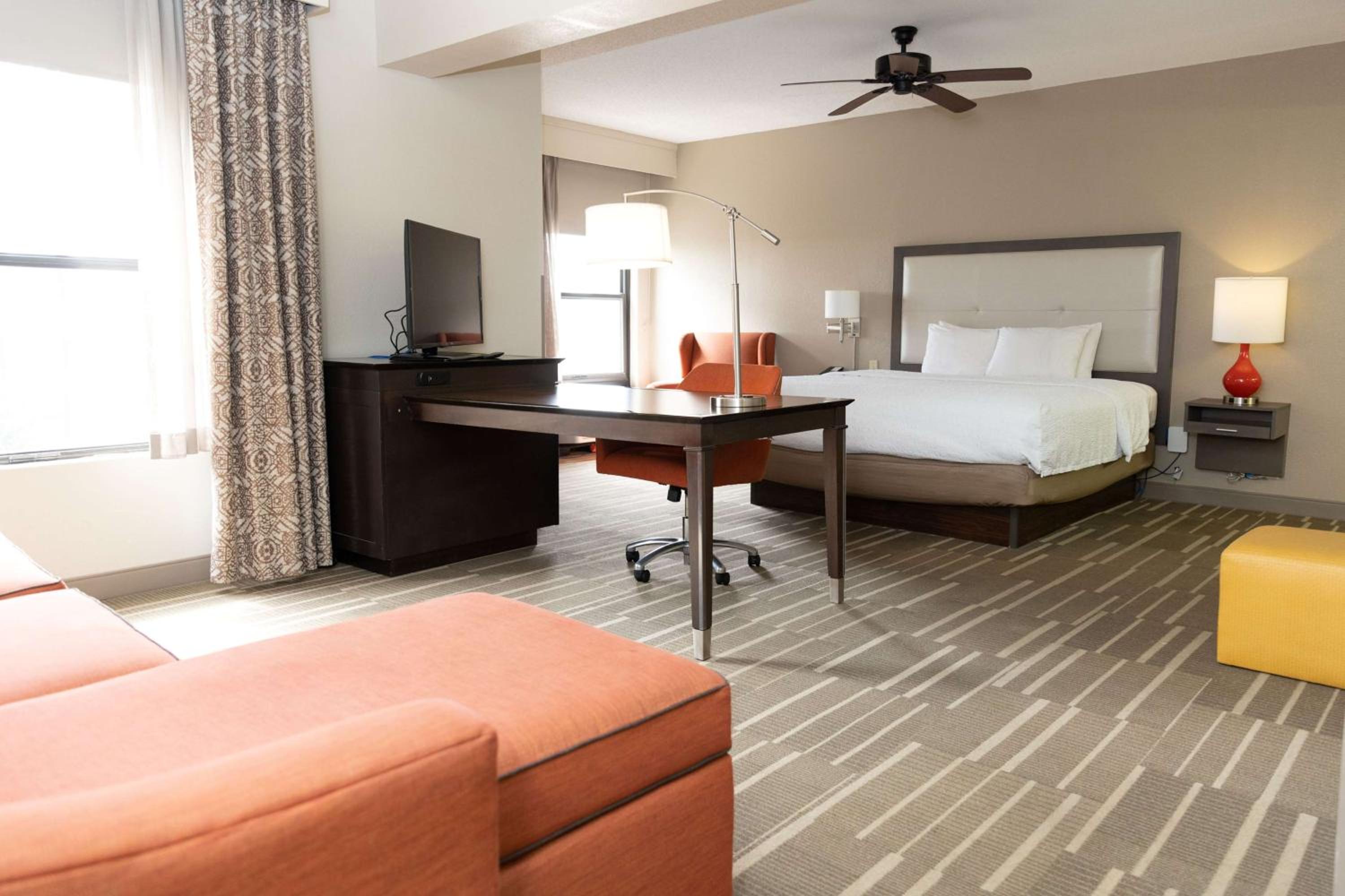 King Suite with Sofa Bed