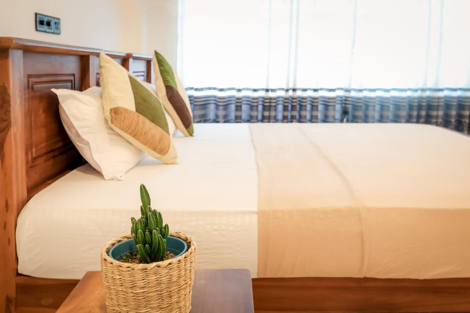 Superior Double Room photo 1