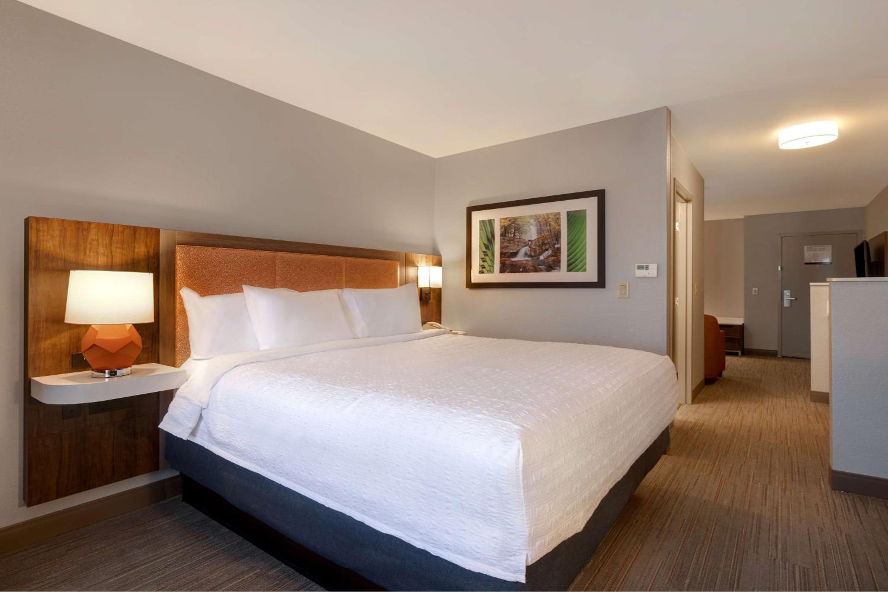 One-Bedroom King Suite with Sofa Bed - Non-Smoking - Photo 1