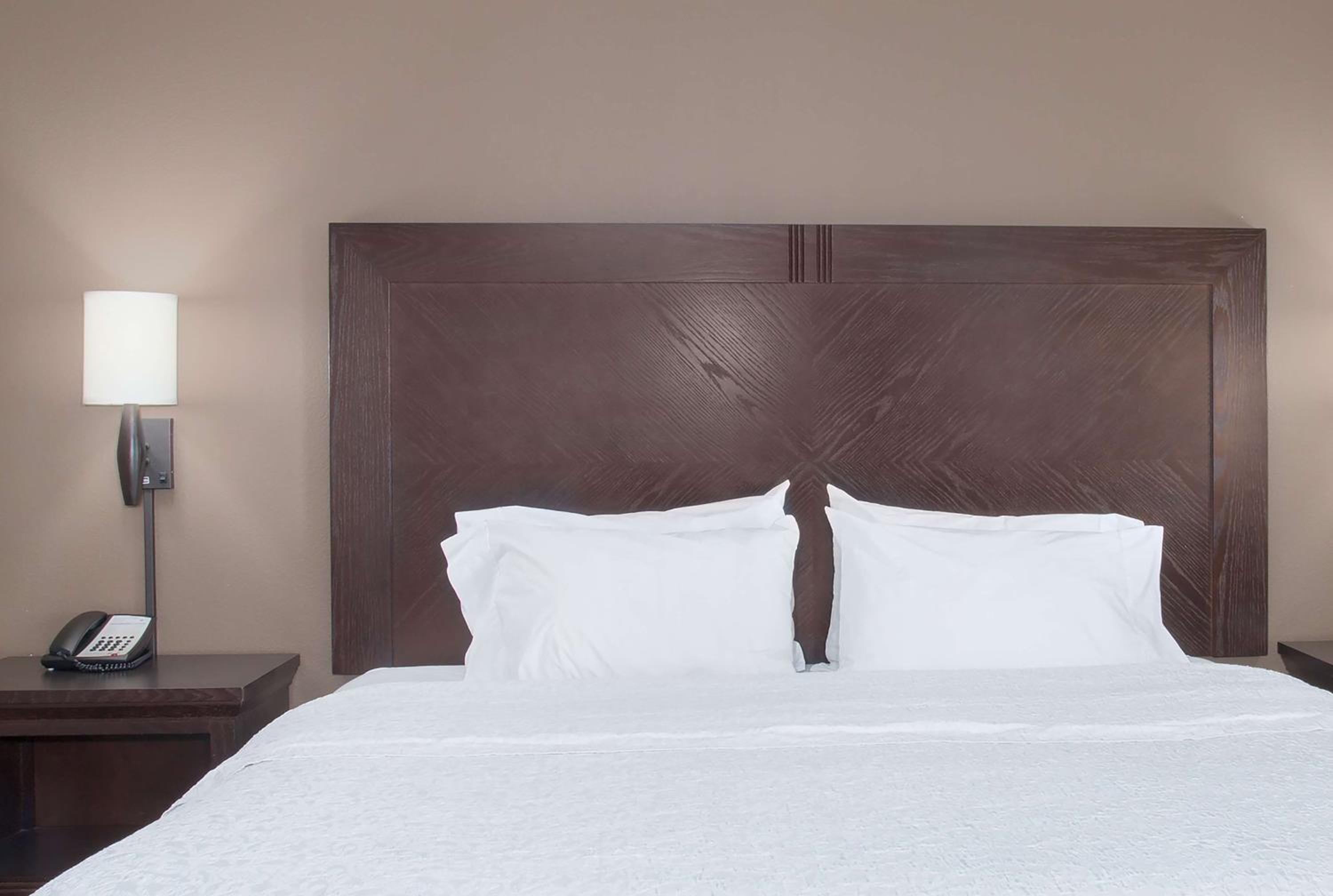 King Studio with Roll-In Shower - Mobility and Hearing Access/Non-Smoking