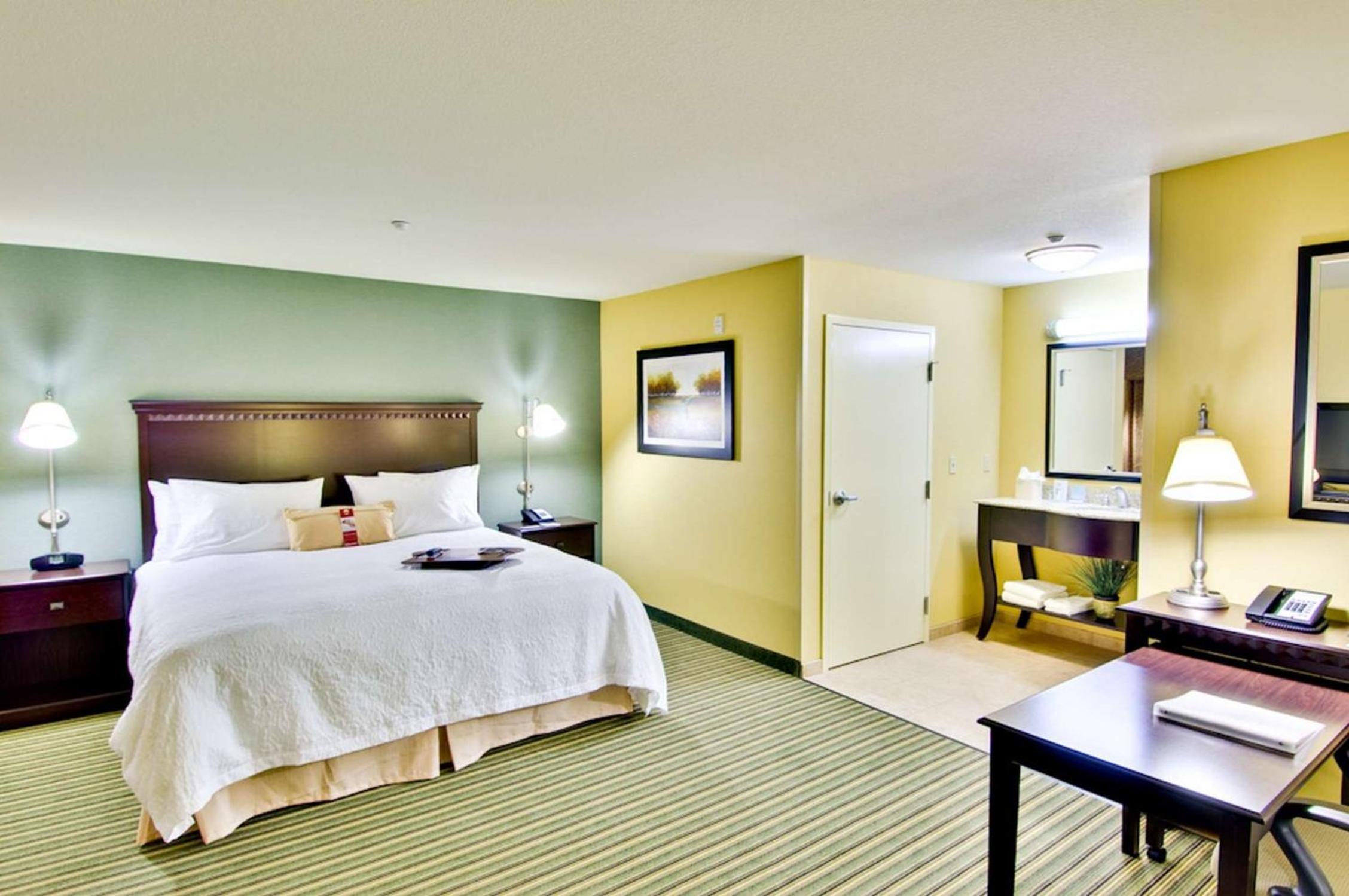 King Studio Suite with Sofa Bed - Non-Smoking - Photo 1