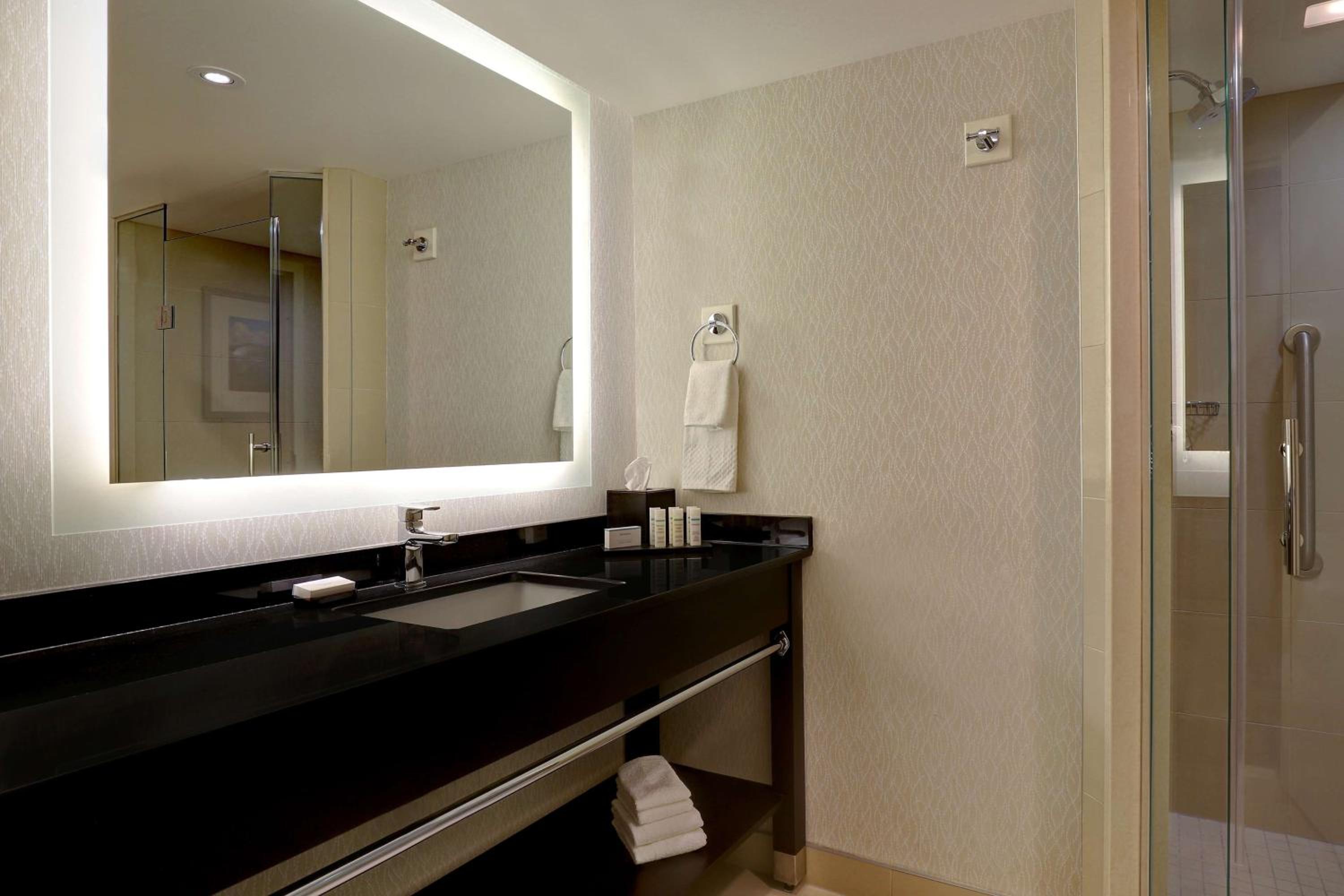 Presidential King Suite with Horseshoe/US Falls View