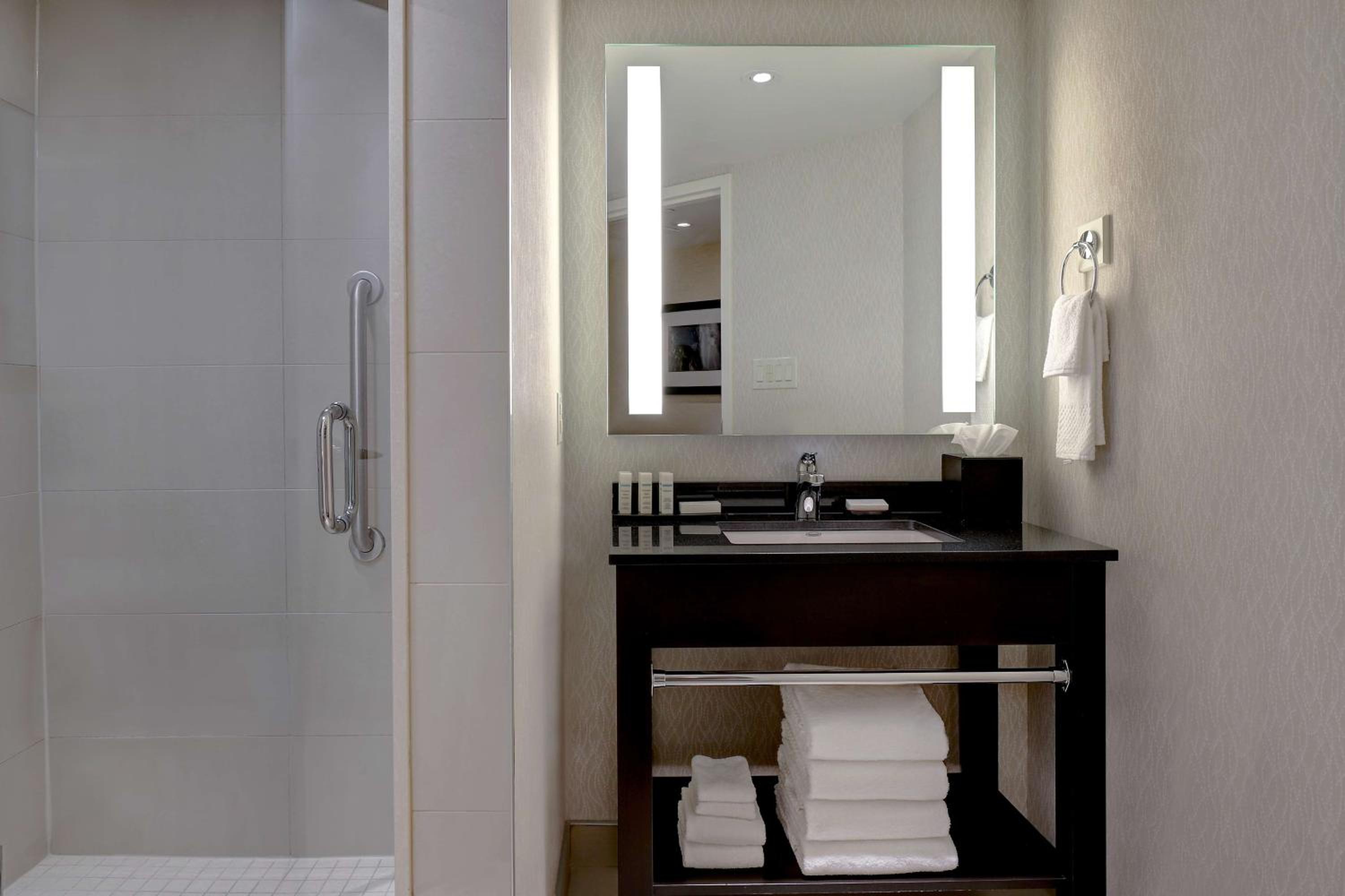 King Suite with City View