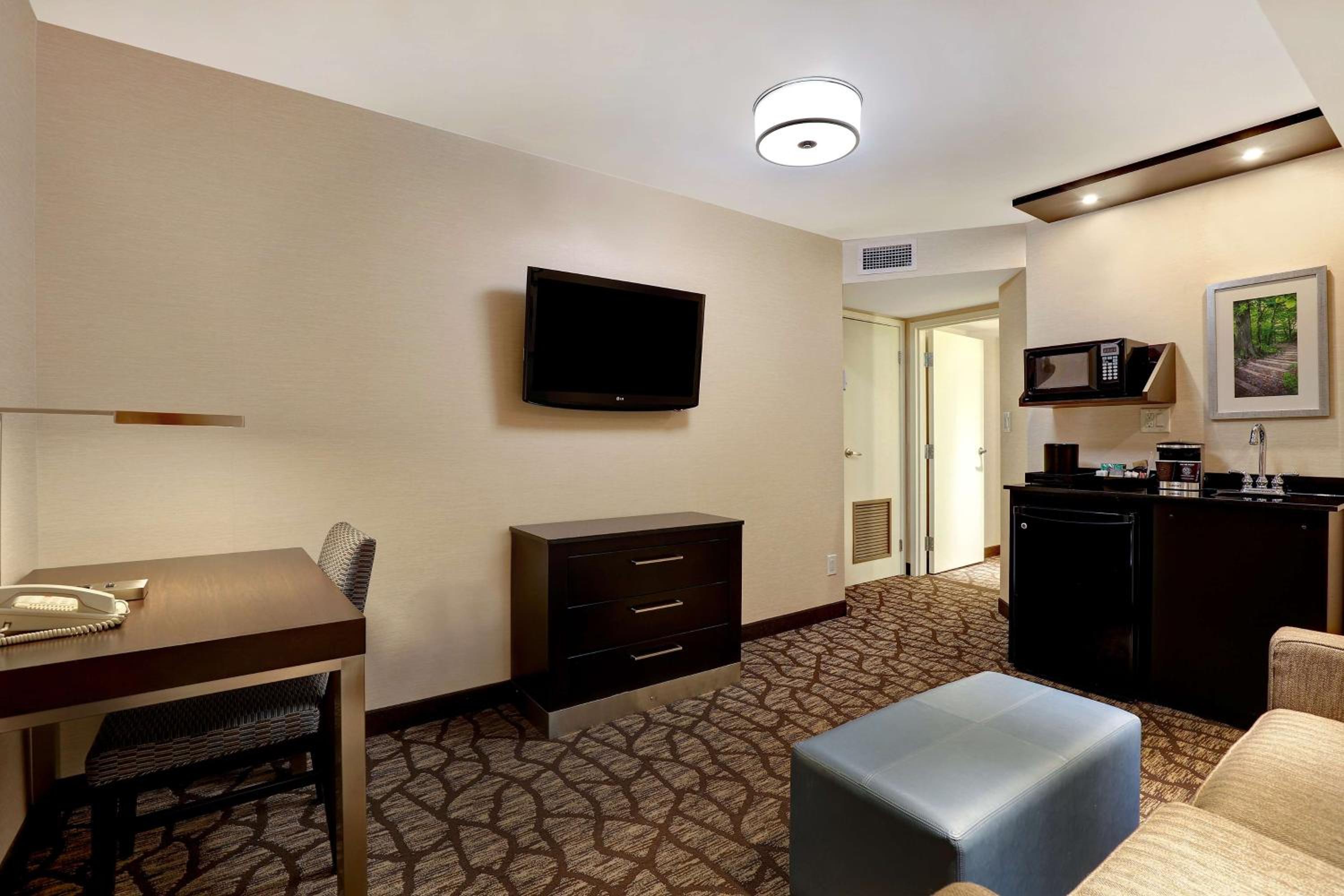 King Studio Suite with Horseshoe/US Falls View