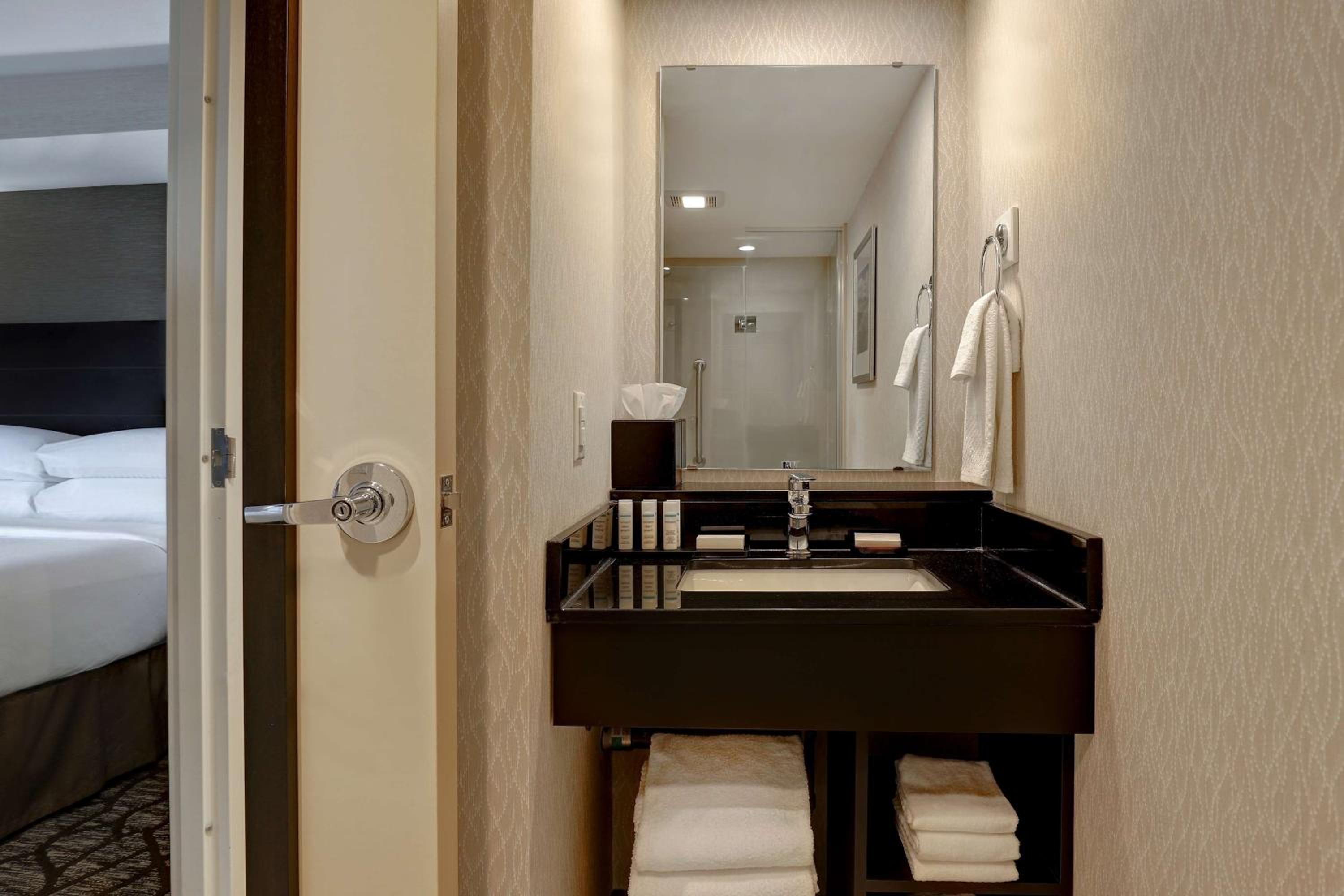 King Studio Suite with City View