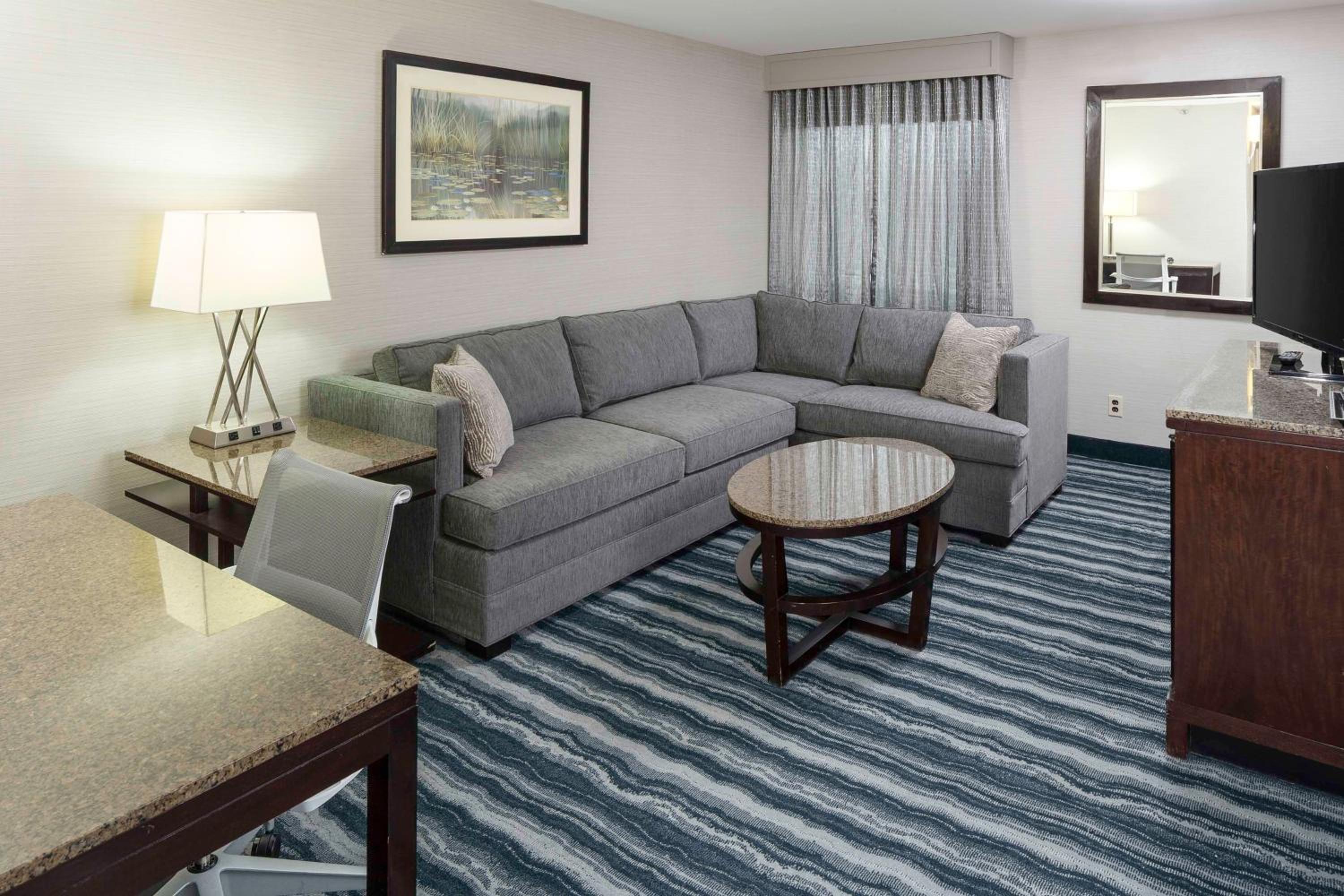 Deluxe King Suite - Photo 3