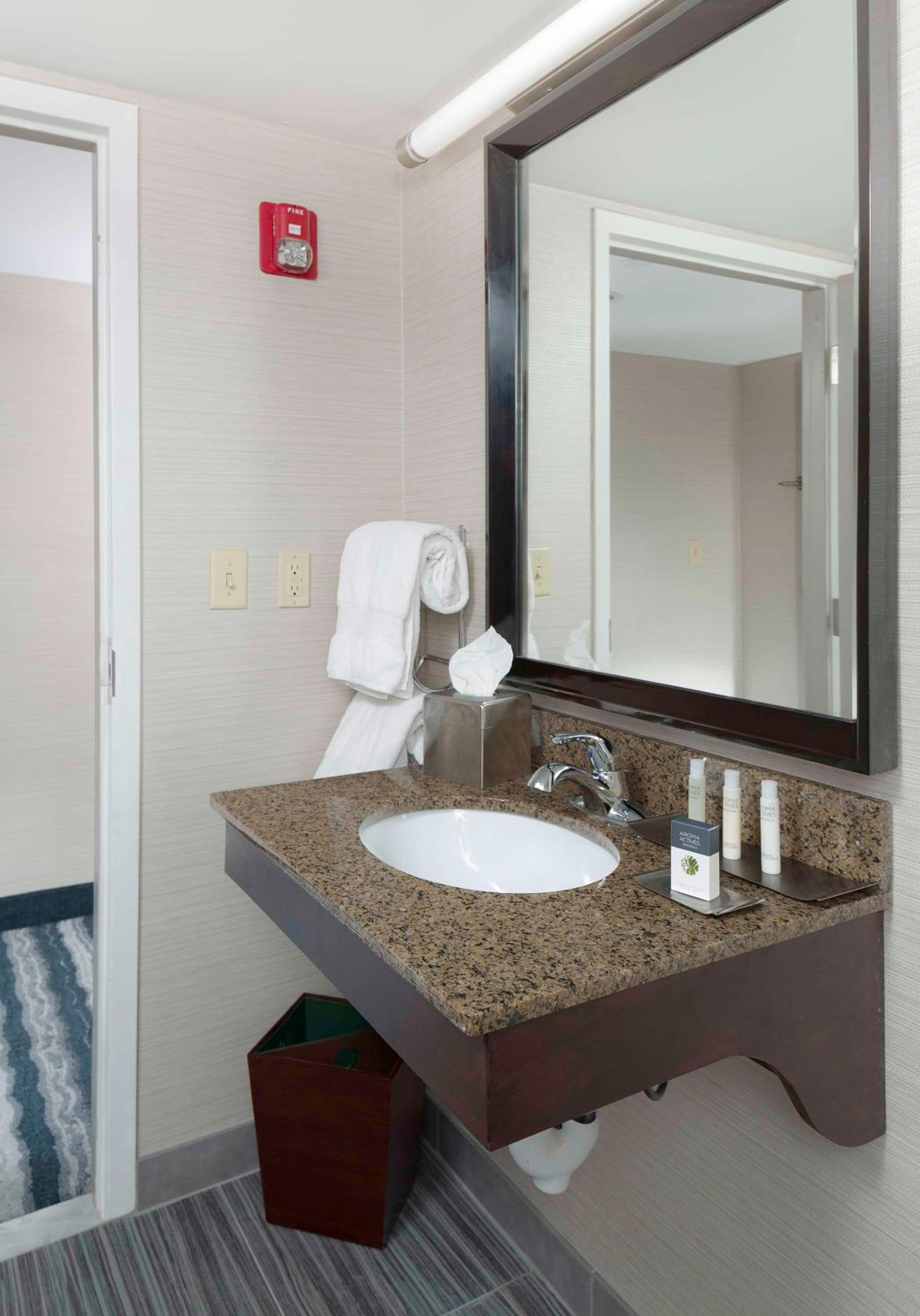 King Room with Roll-In Shower - Mobility and Hearing Accessible - Photo 5
