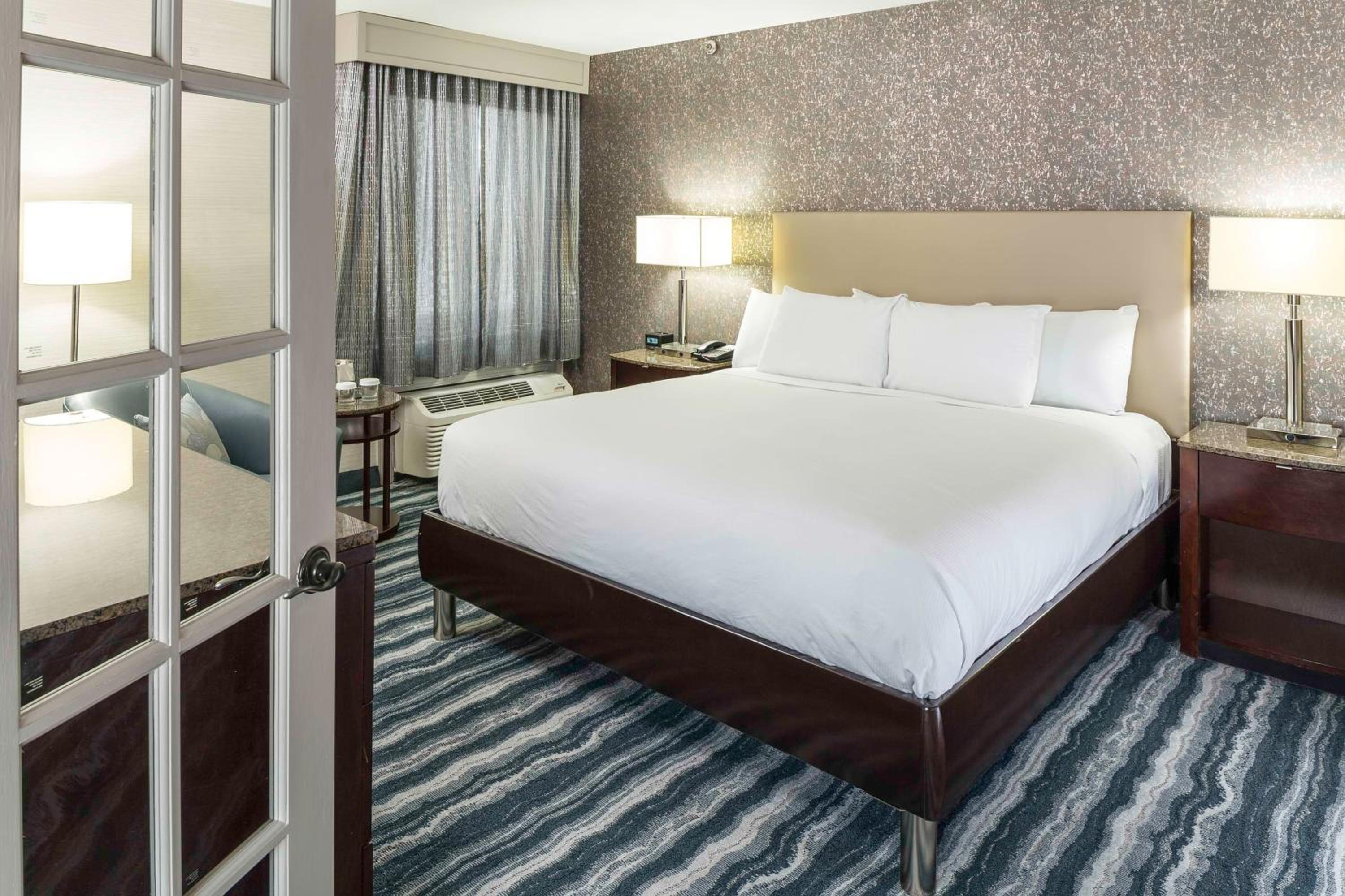 Deluxe King Suite - Photo 4