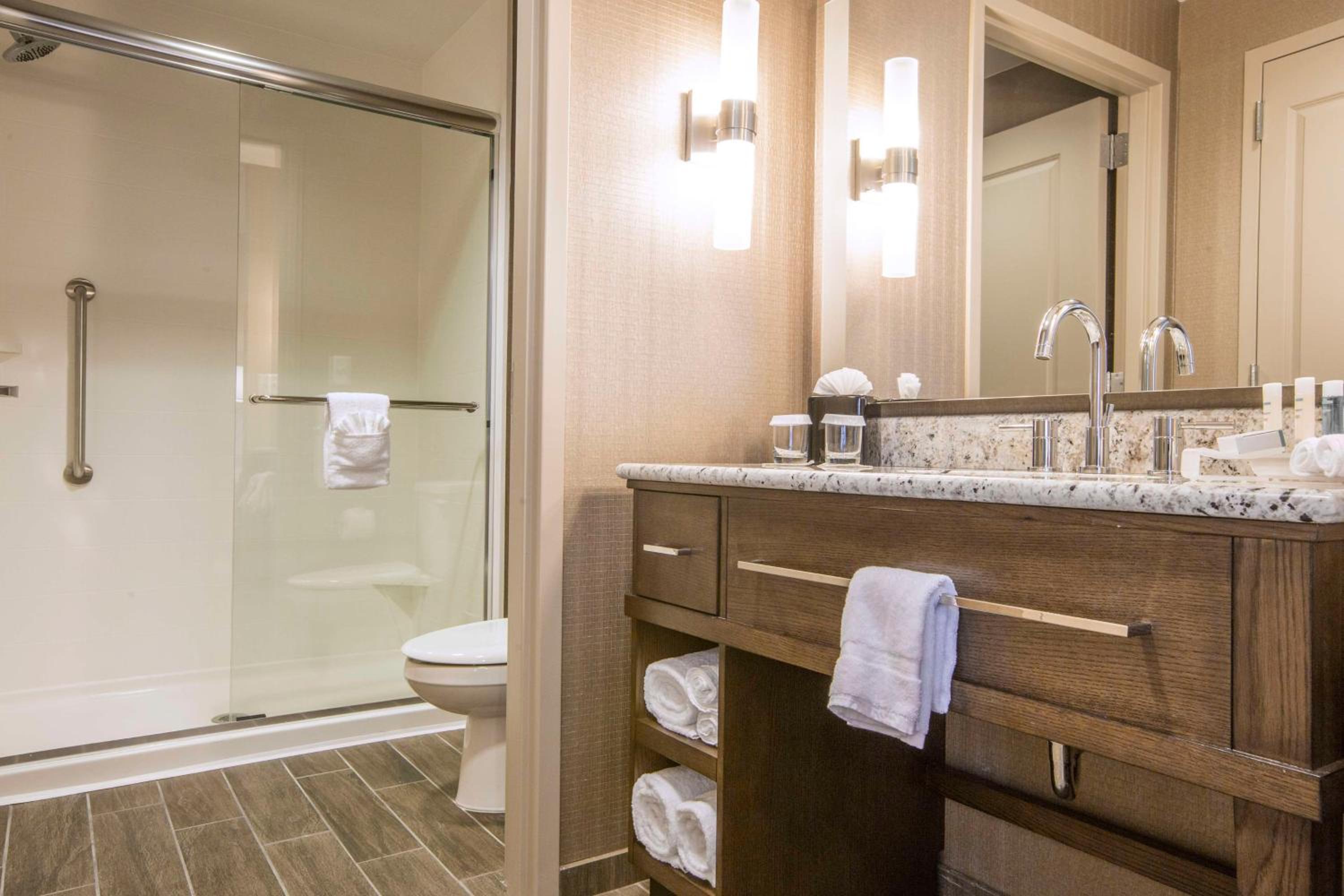 Queen Studio Suite with Two Queen Beds with Shower with Park View - Mobility Access