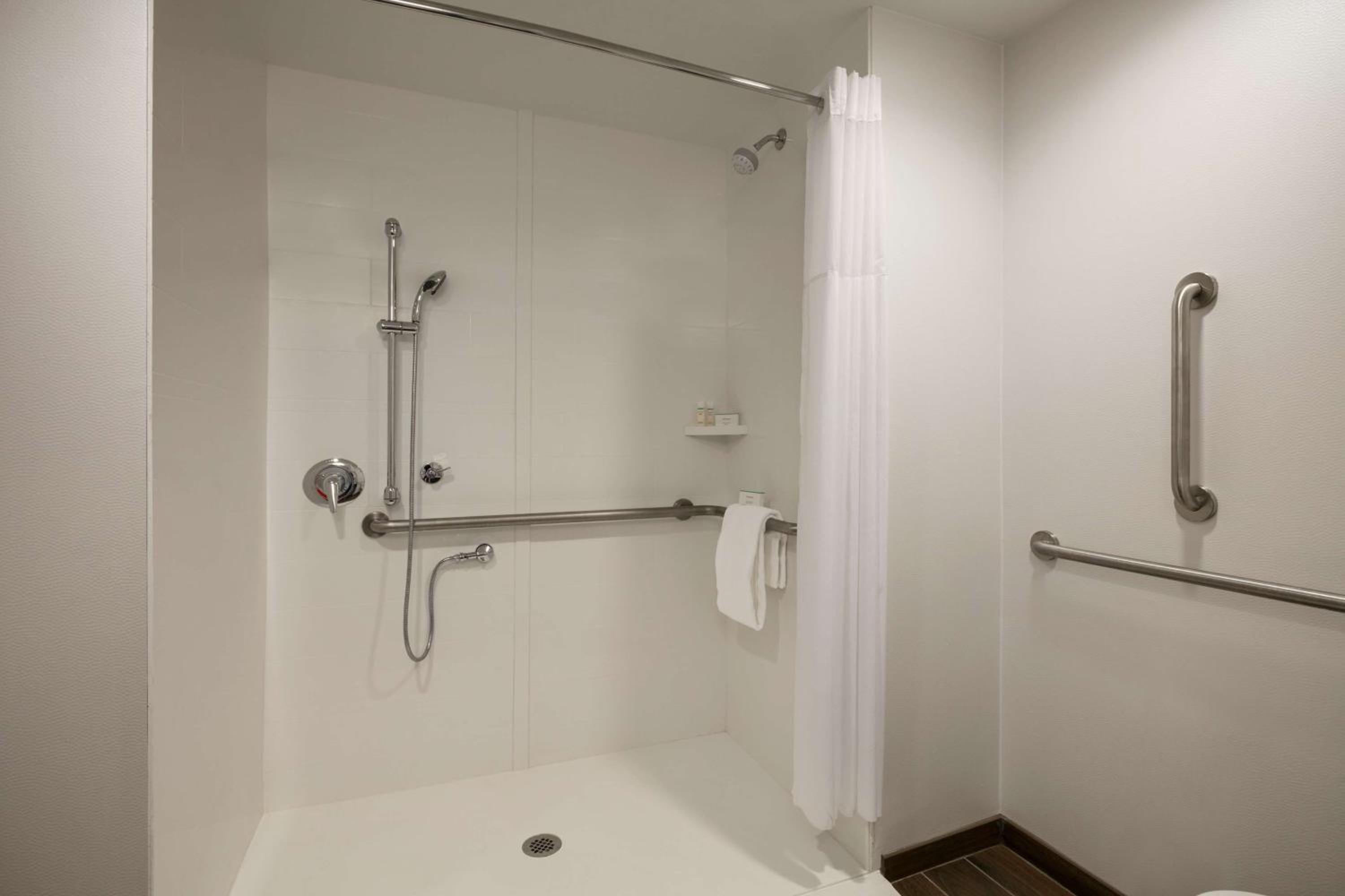 King Room with Roll-In Shower - Mobility and Hearing Access/Non-Smoking photo 2