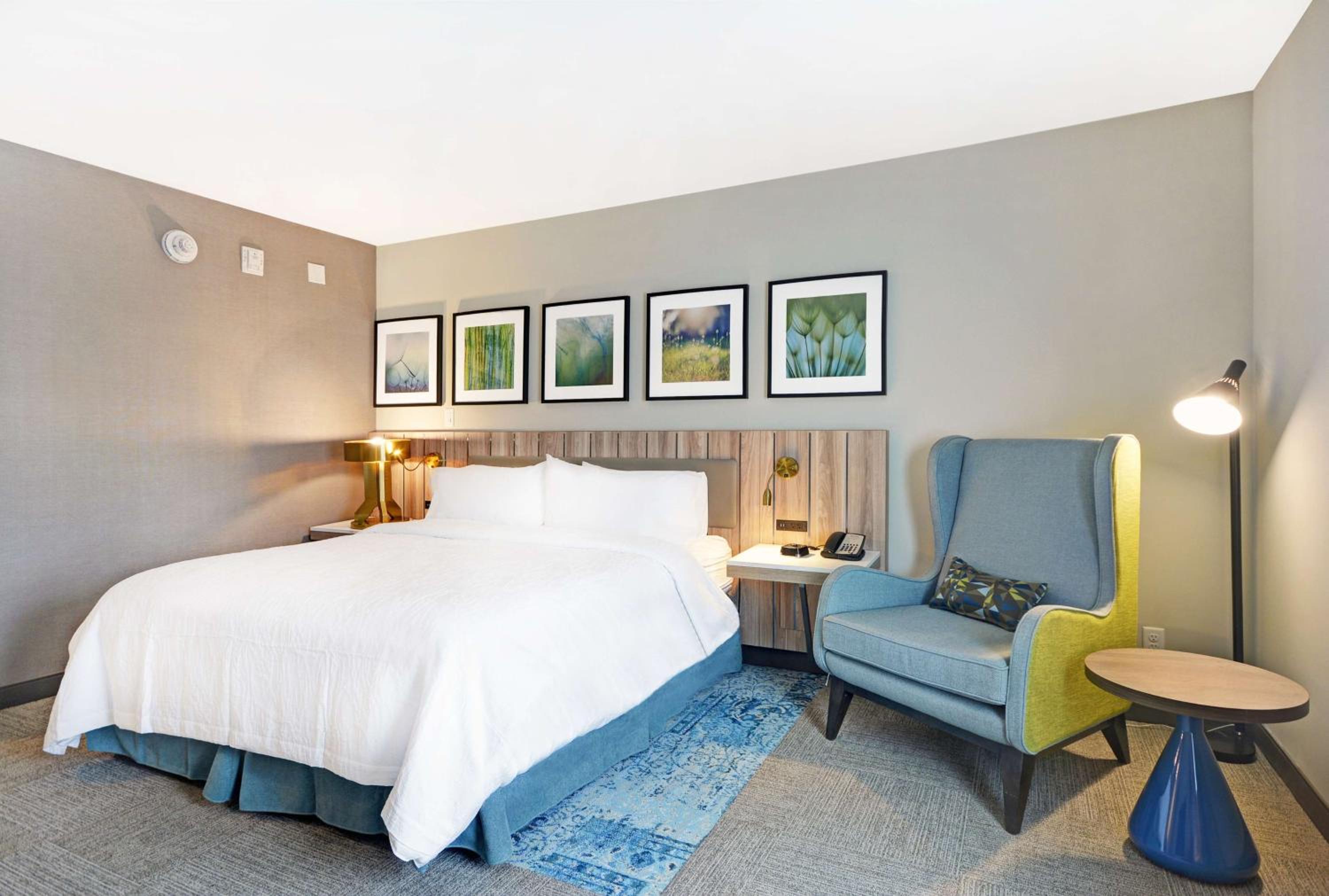King Room photo 1