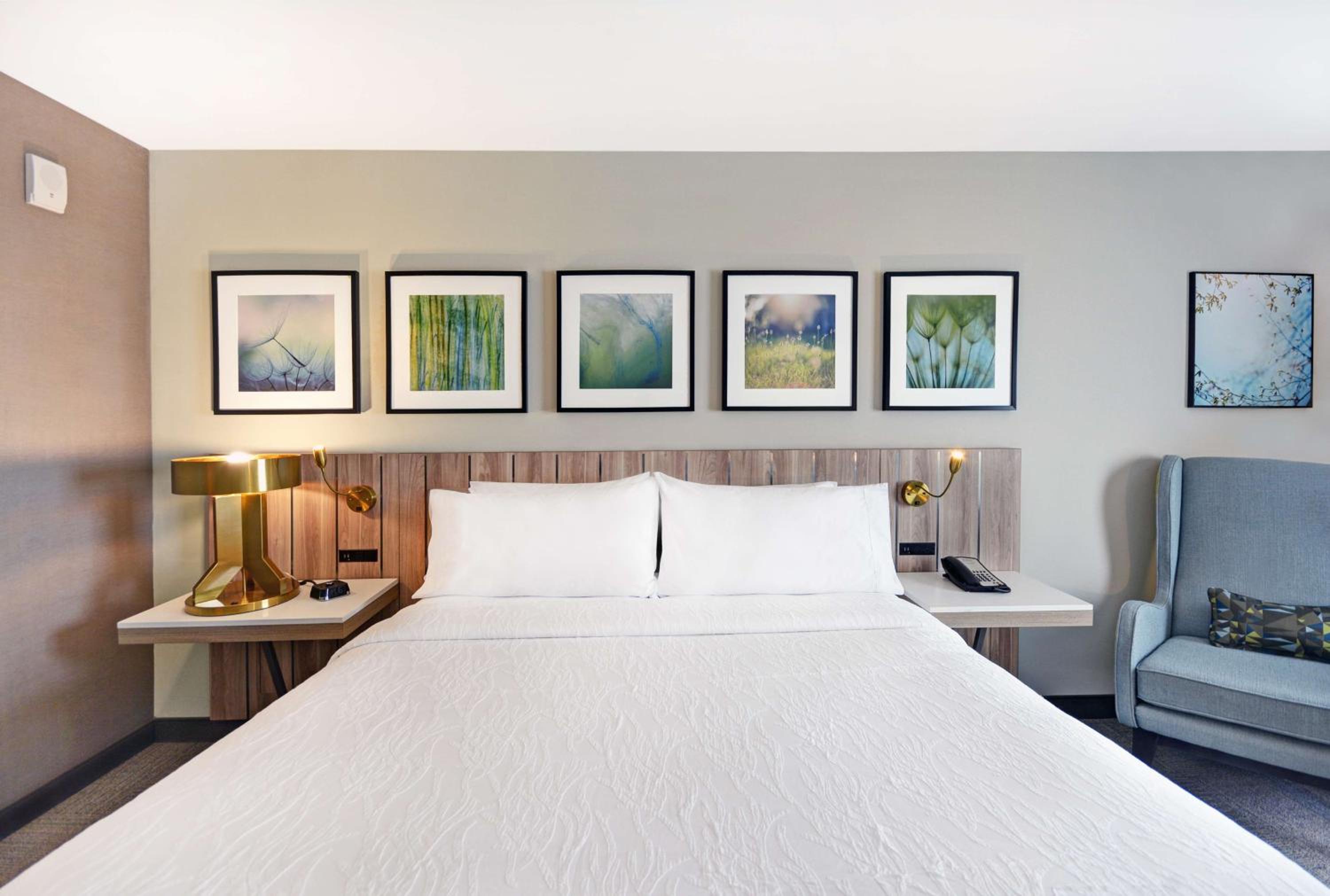 King Room photo 2