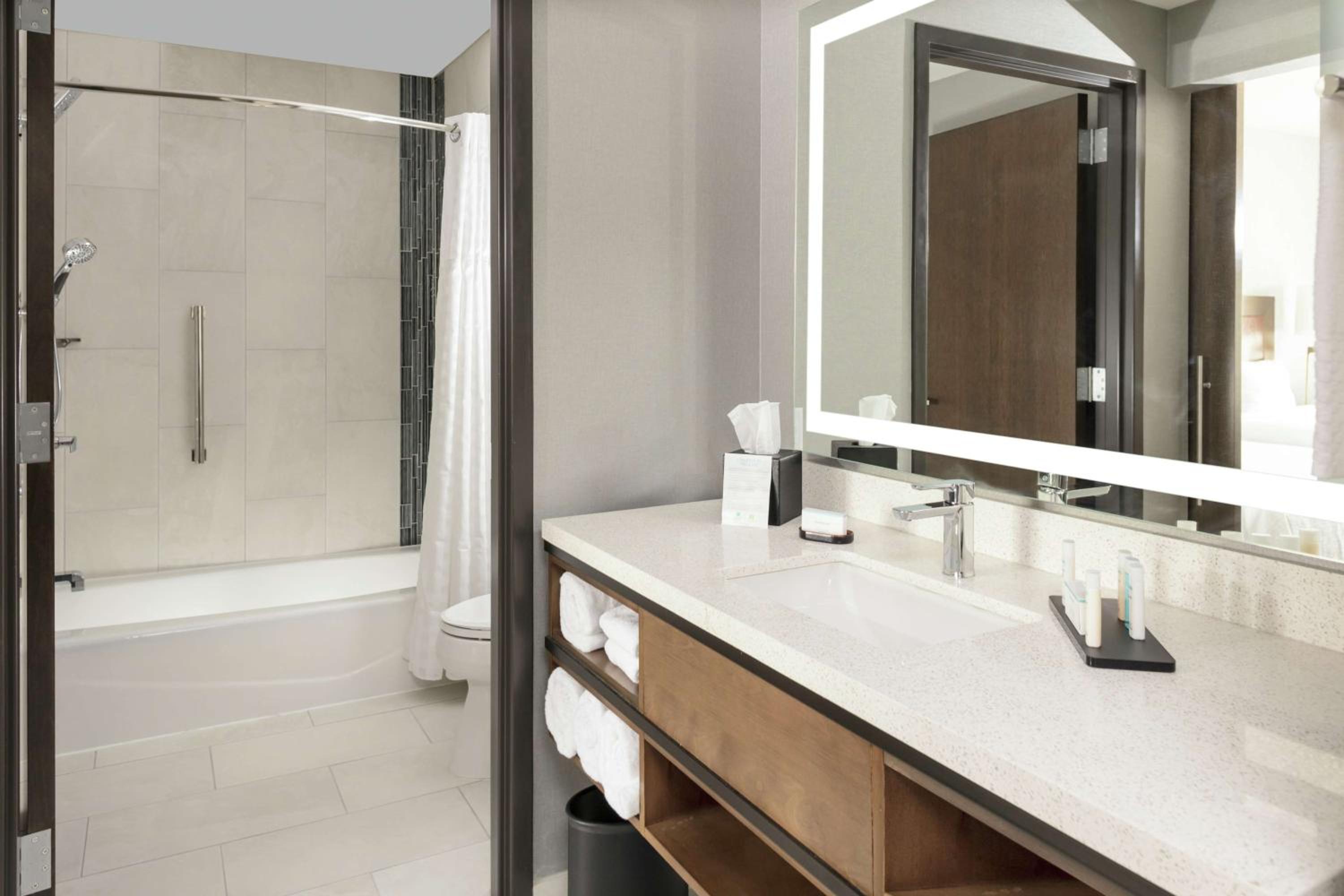 King Studio Suite - Photo 4