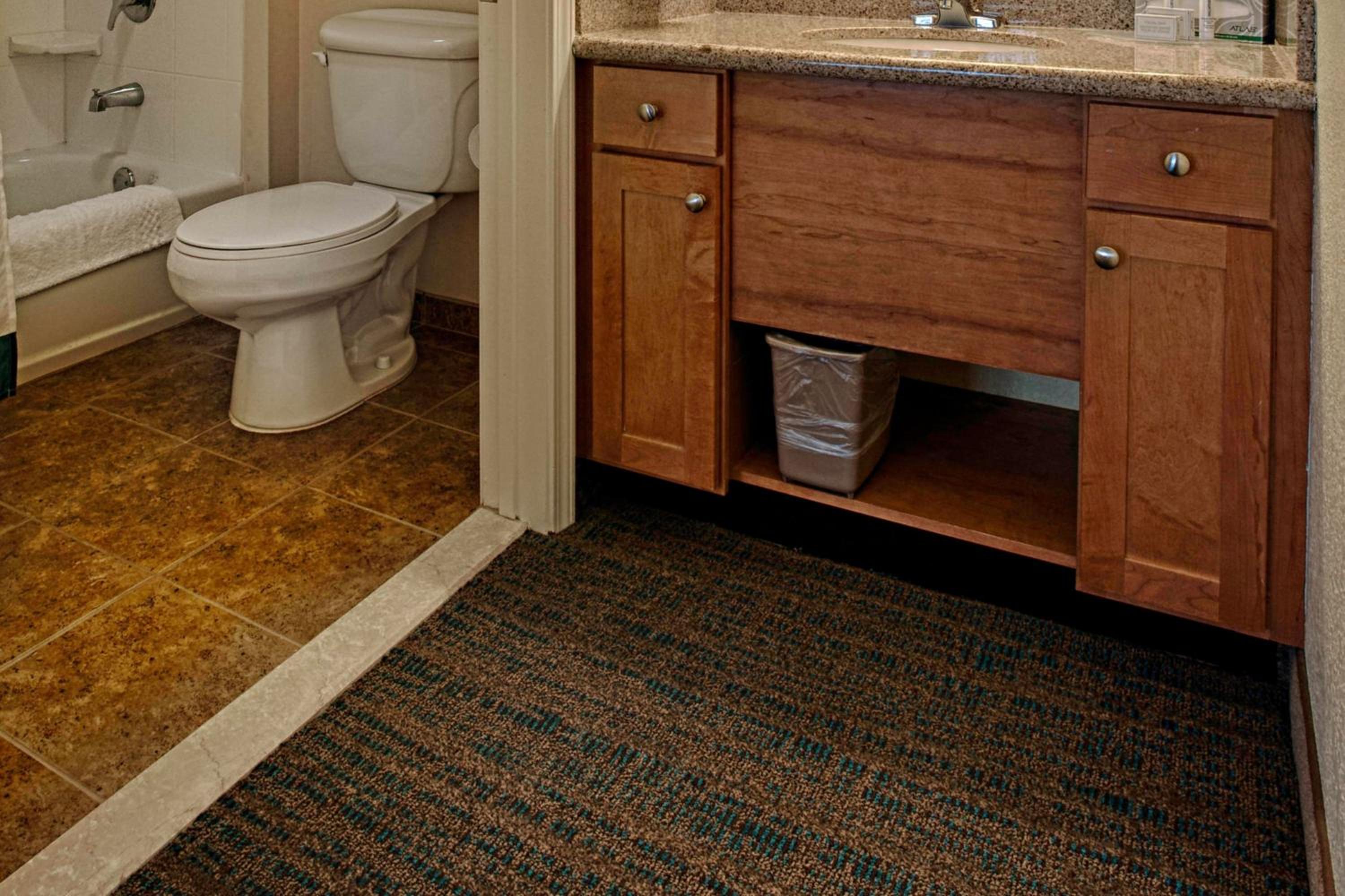 Two-Bedroom Suite - Photo 4