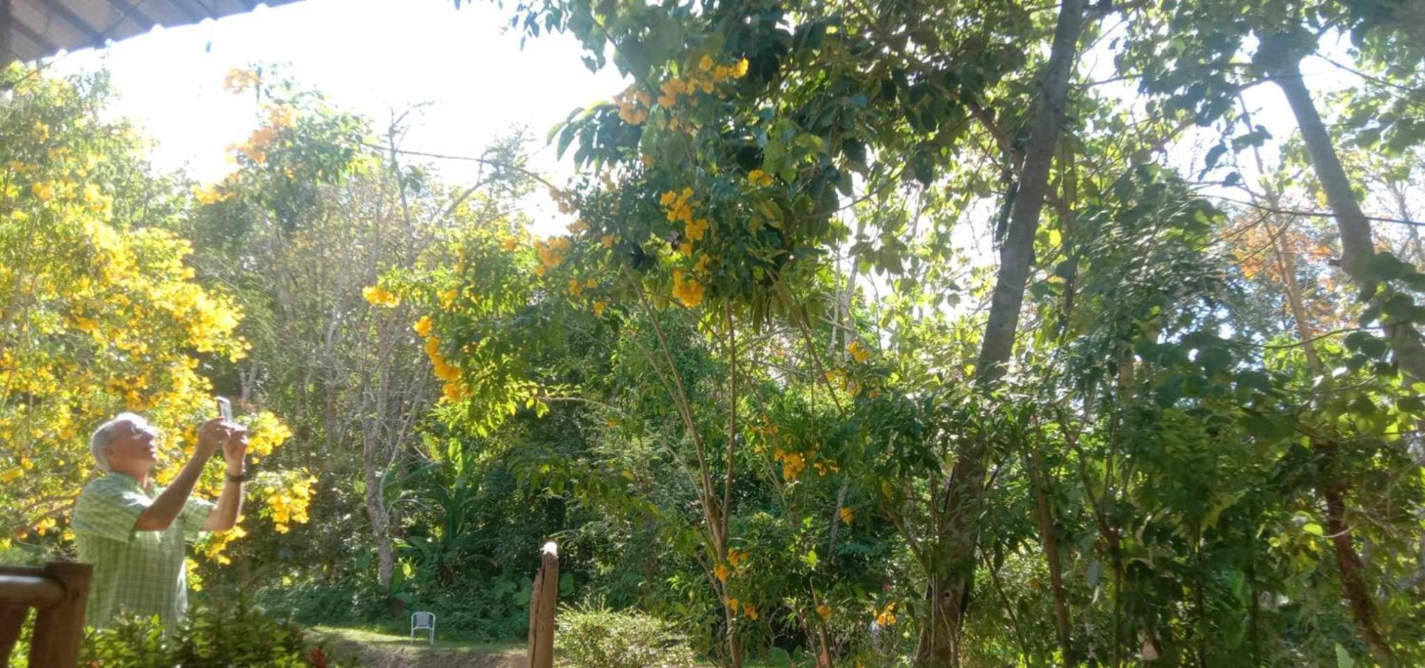 Bungalow with Garden View photo 3