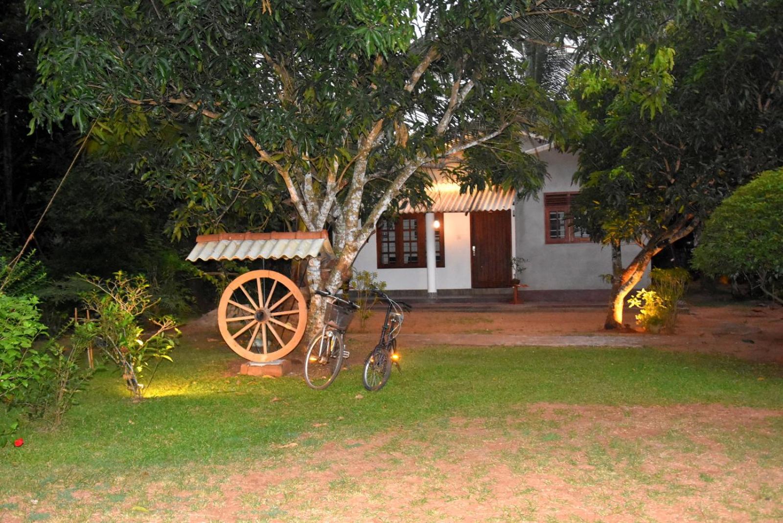 Two-Bedroom House photo 3