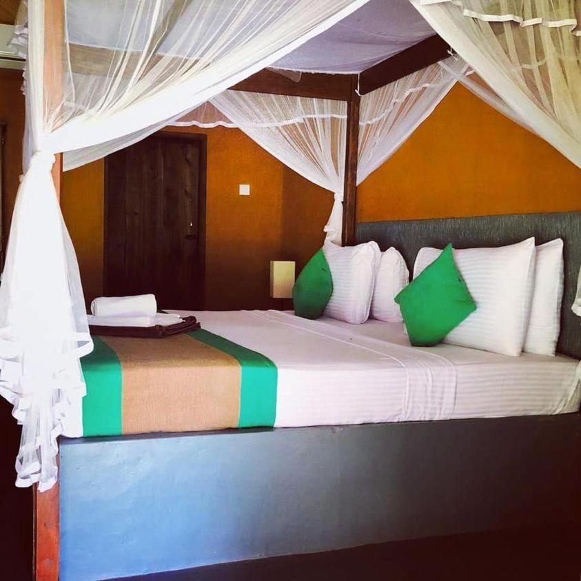 Standard Double Room - Photo 1