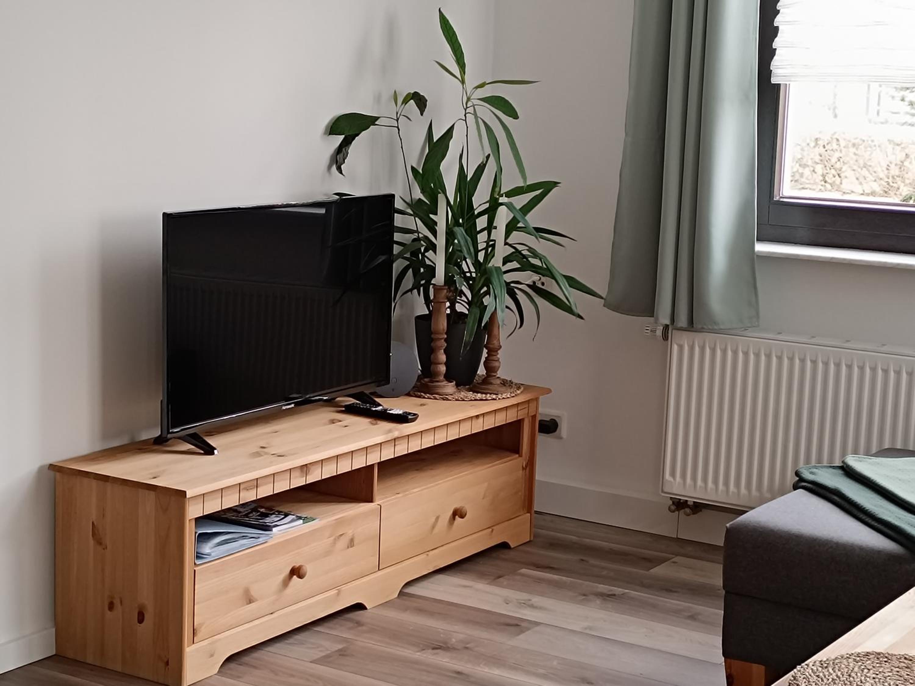 One-Bedroom Apartment with Garden