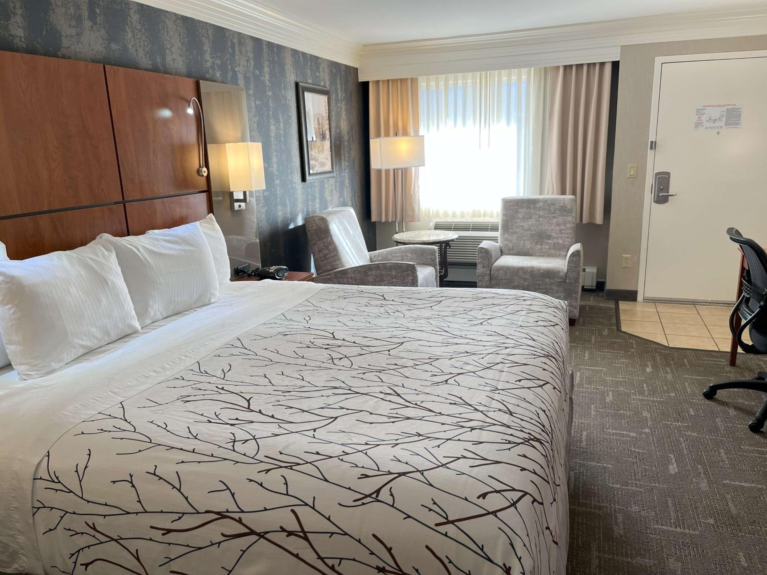 Standard King Room