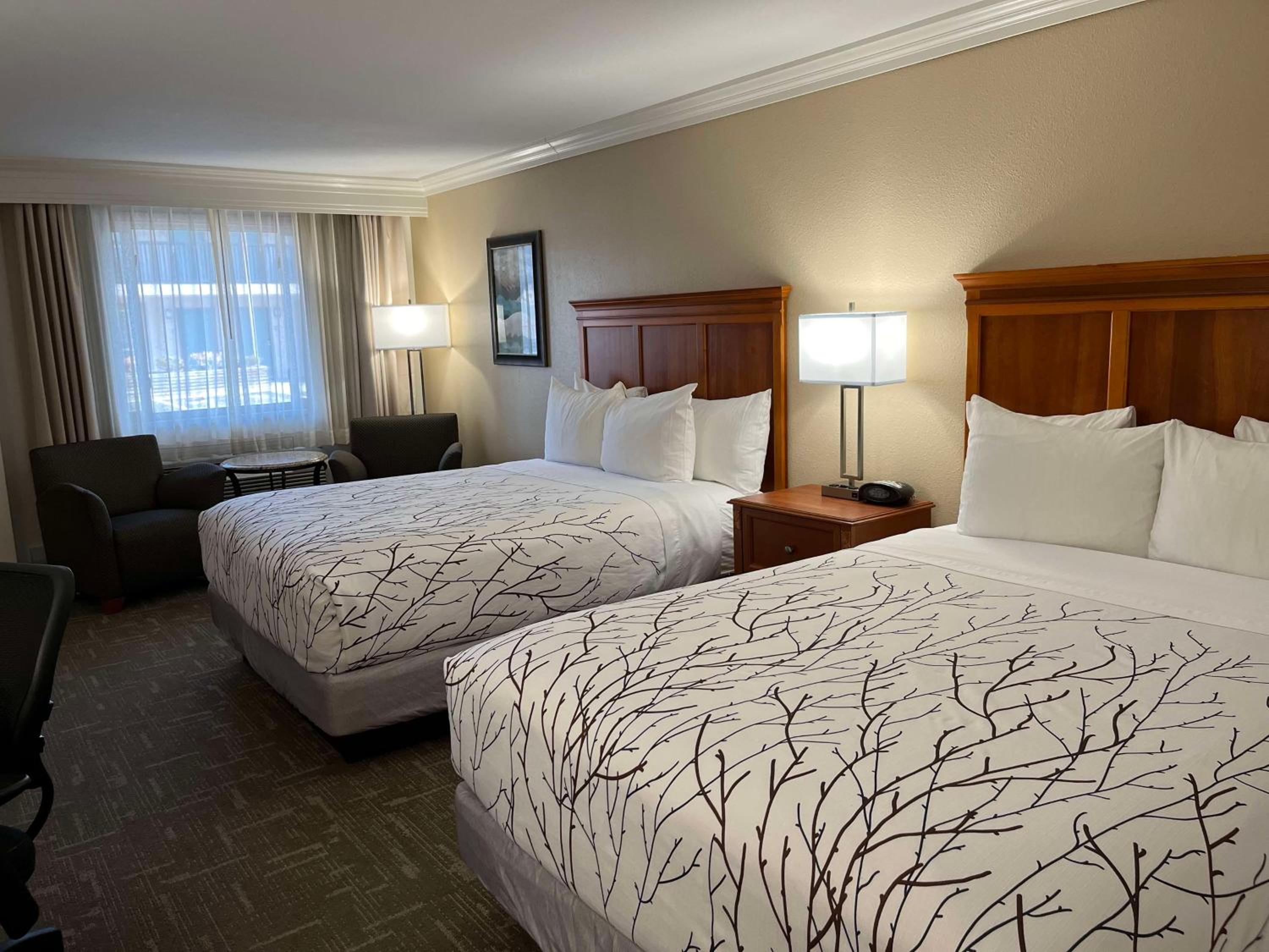 Queen Room with Two Queen Beds - Non-Smoking