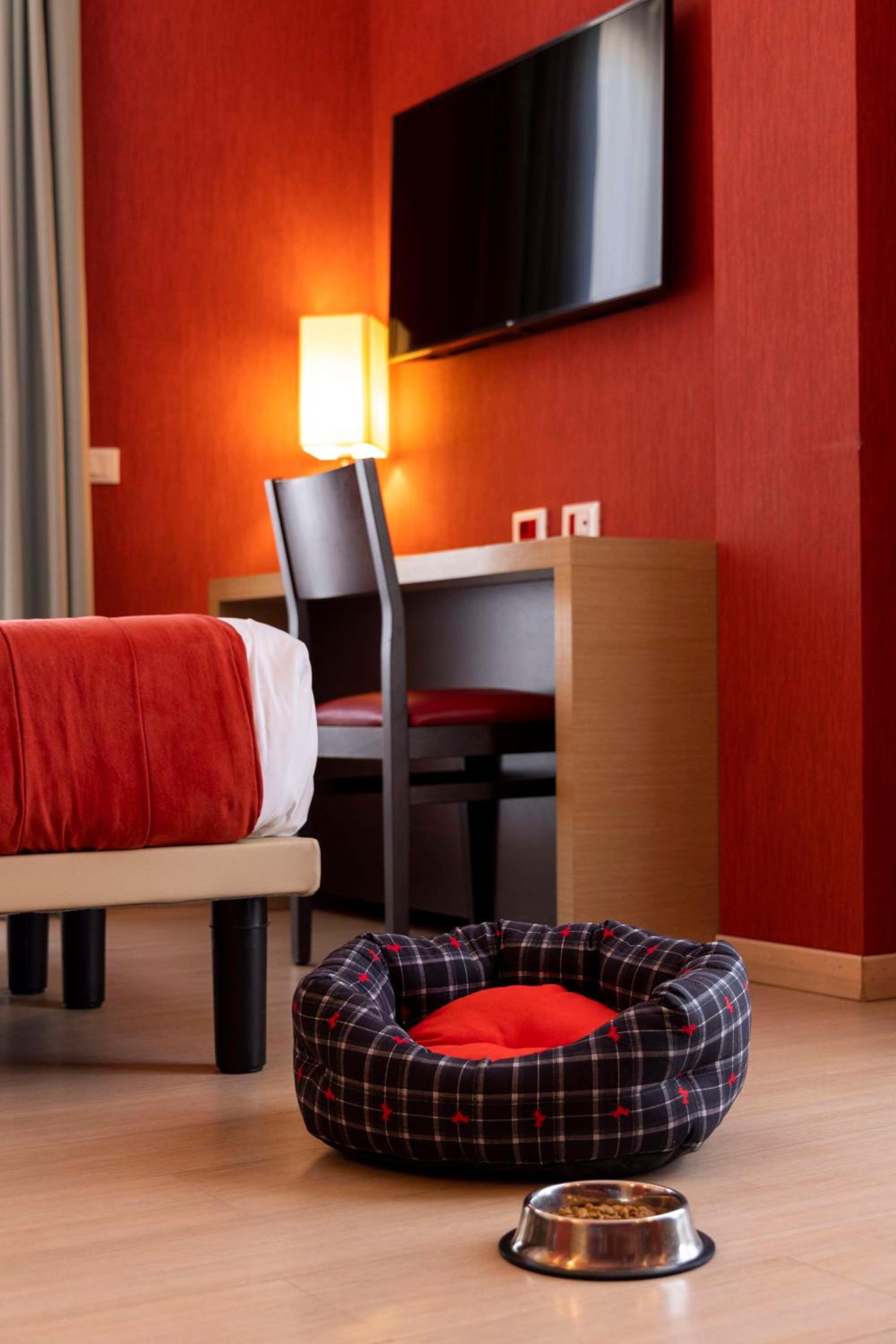 Quadruple Room - Photo 6