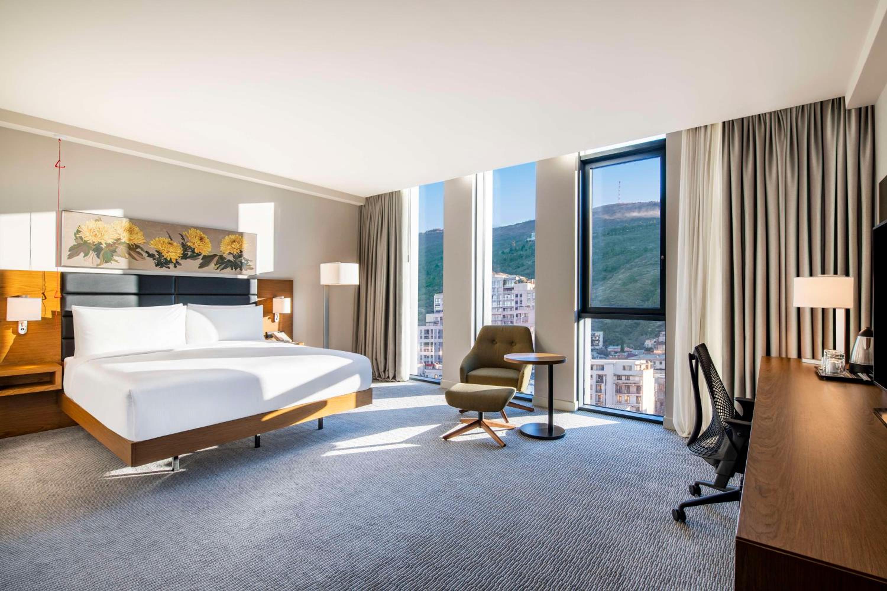 King Room - Mobility Accessible - Photo 3