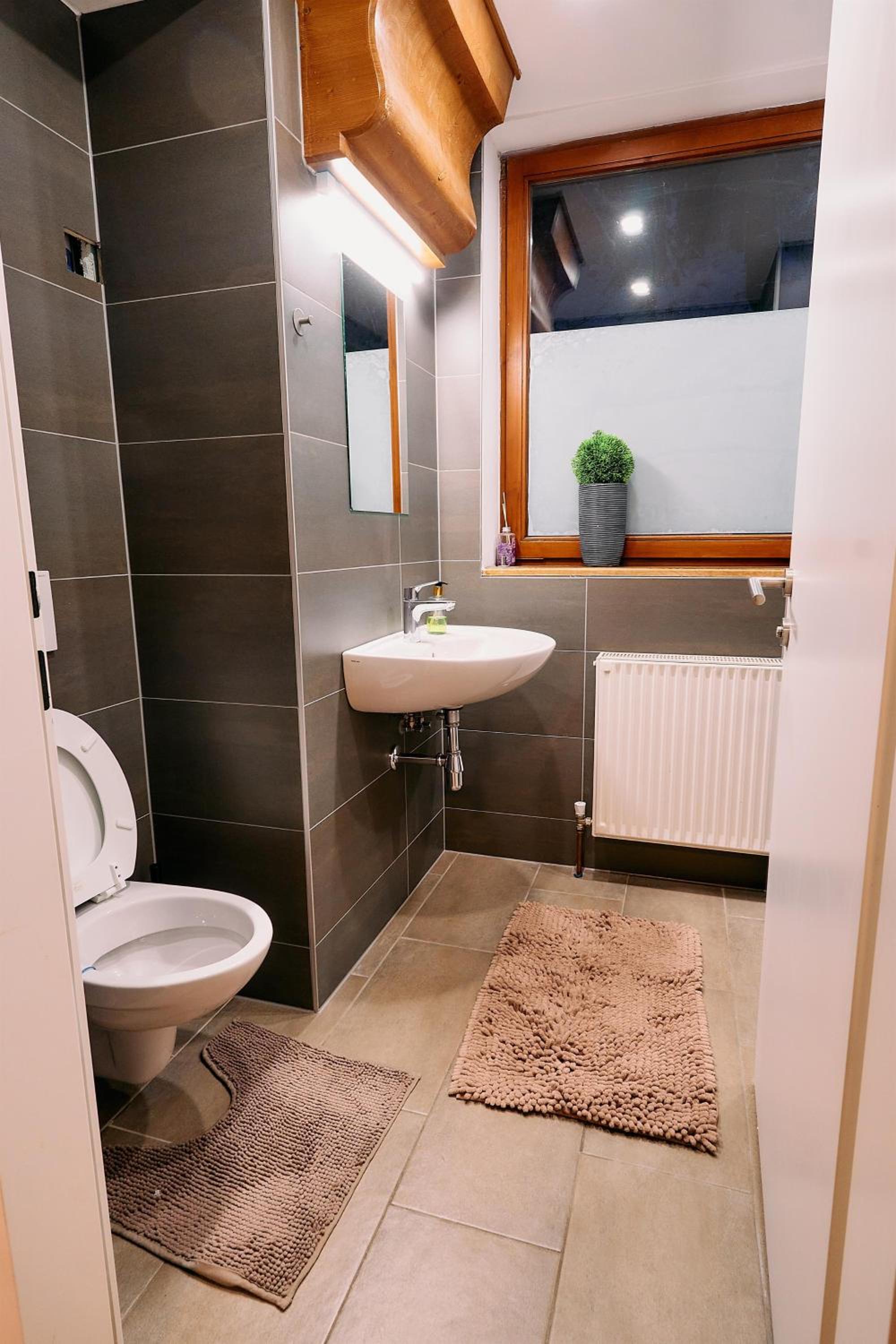 Apartment with Shower photo 2