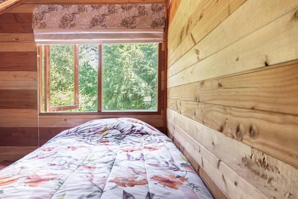 One-Bedroom House photo 2